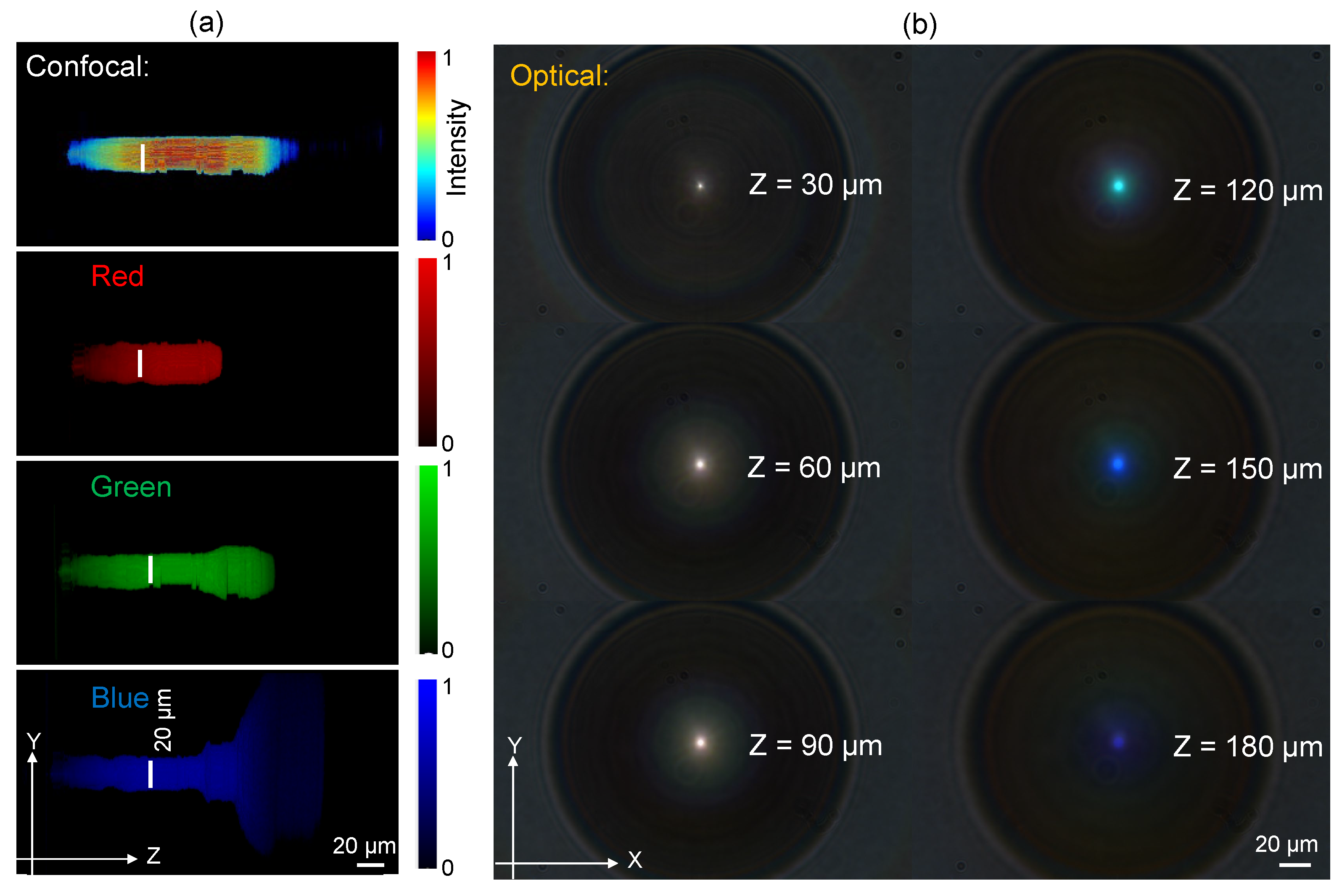 Preprints 90889 g002