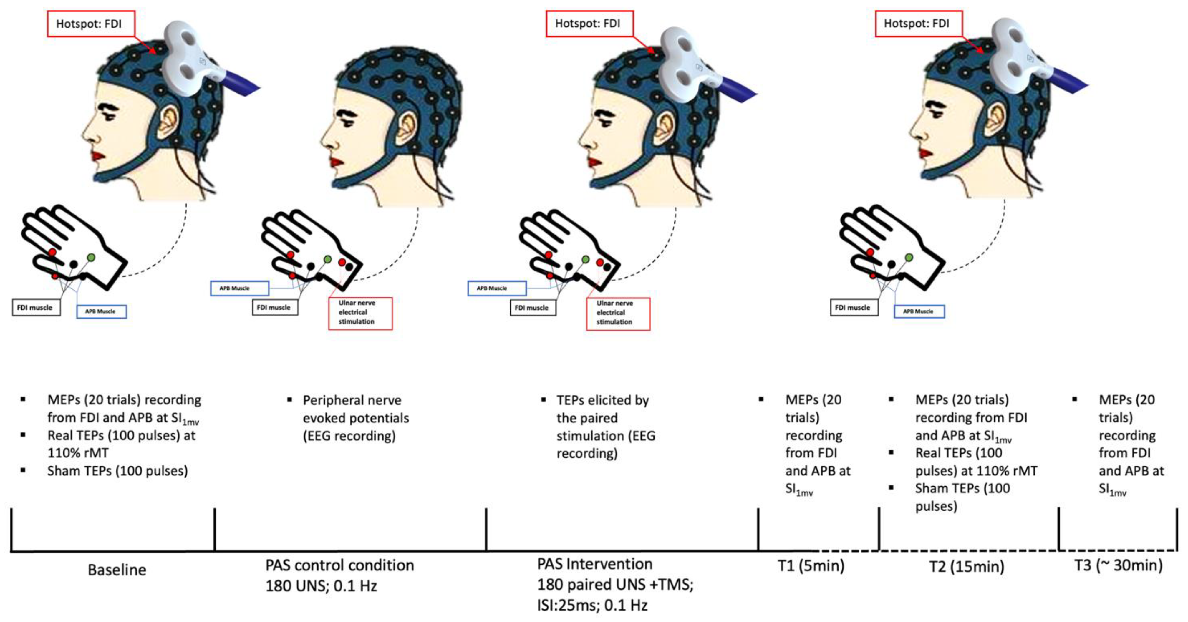 Preprints 73075 g001