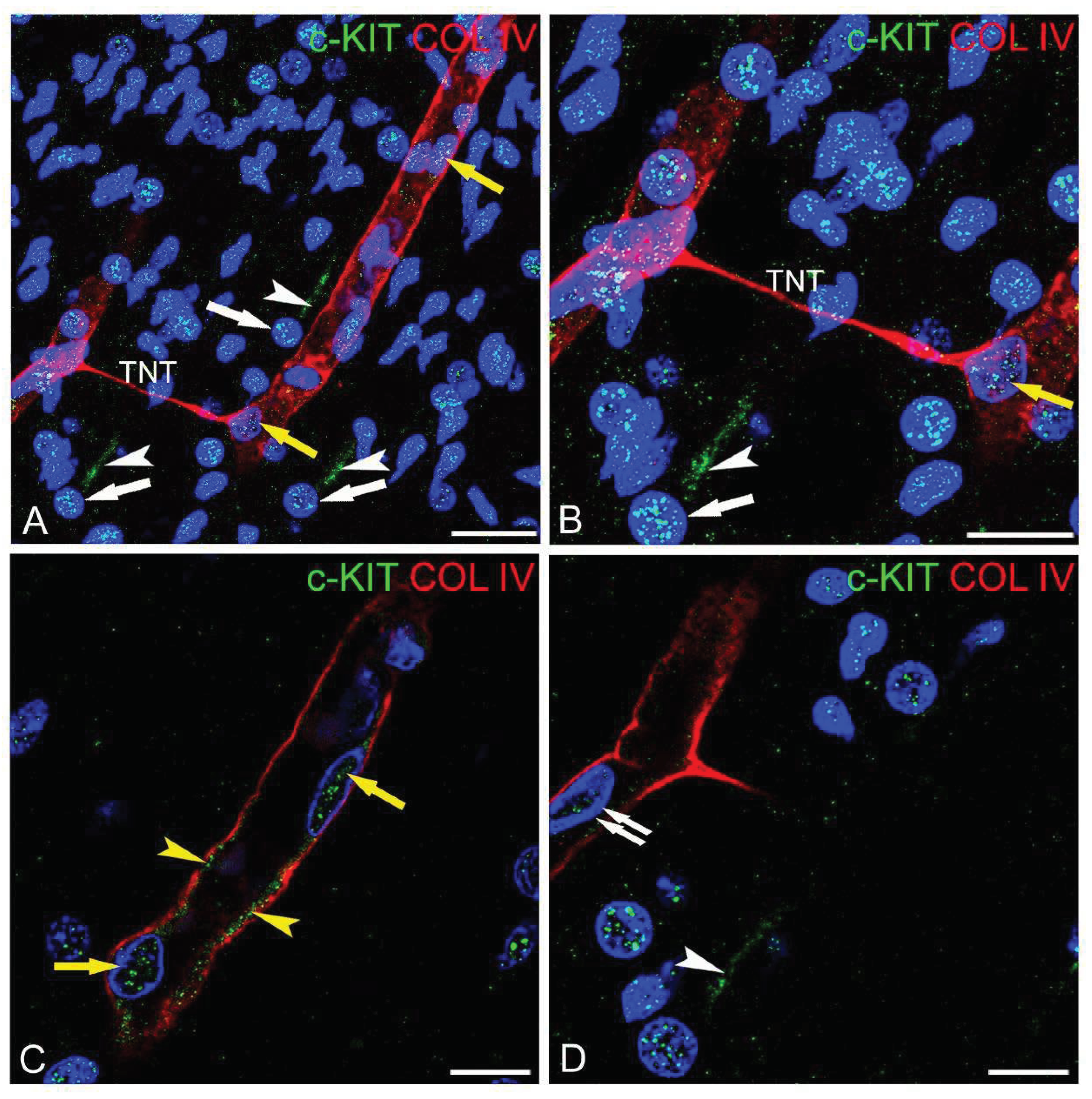 Preprints 94575 g001