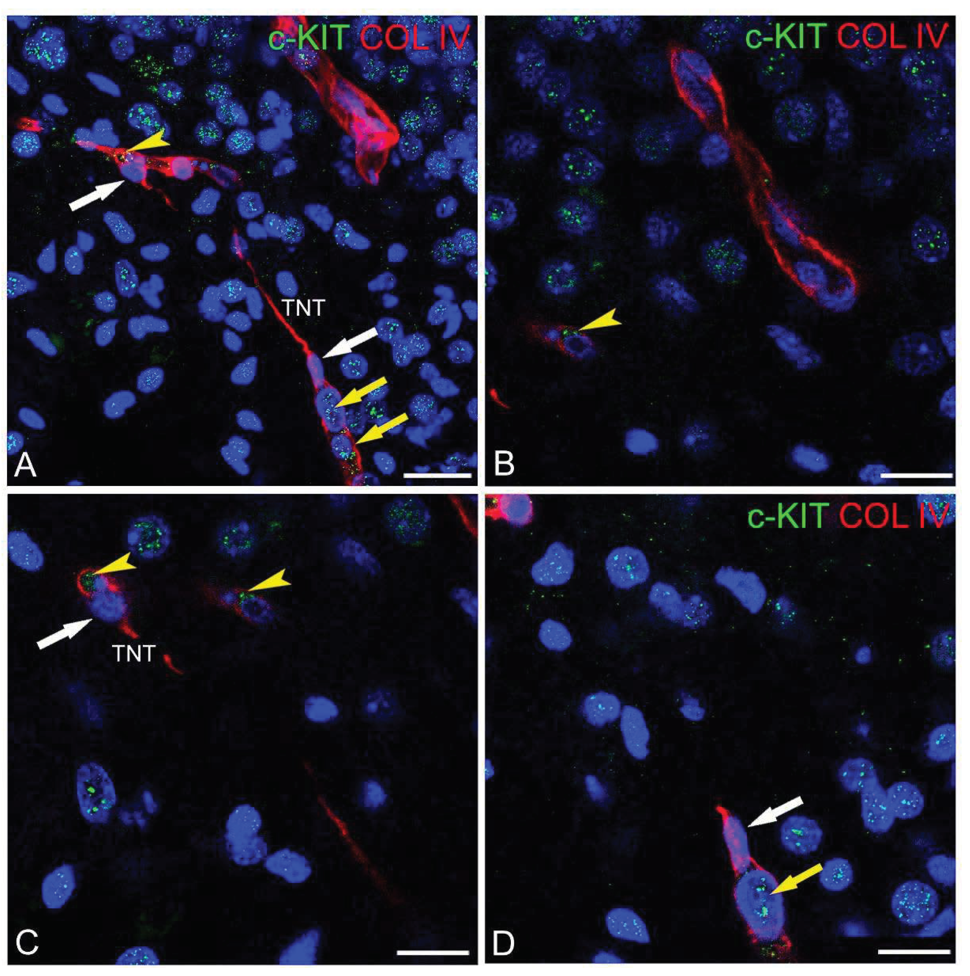 Preprints 94575 g002