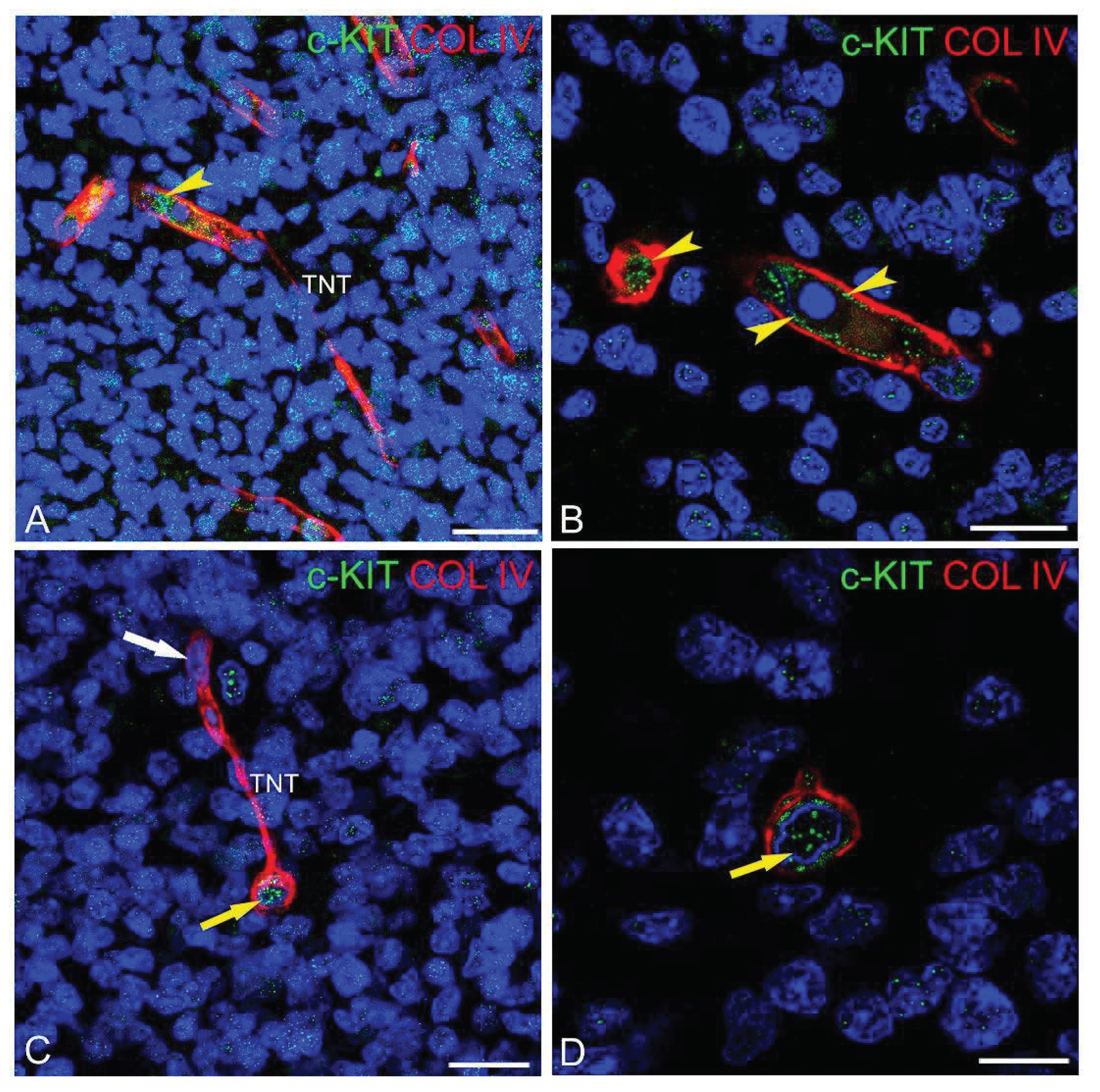 Preprints 94575 g003