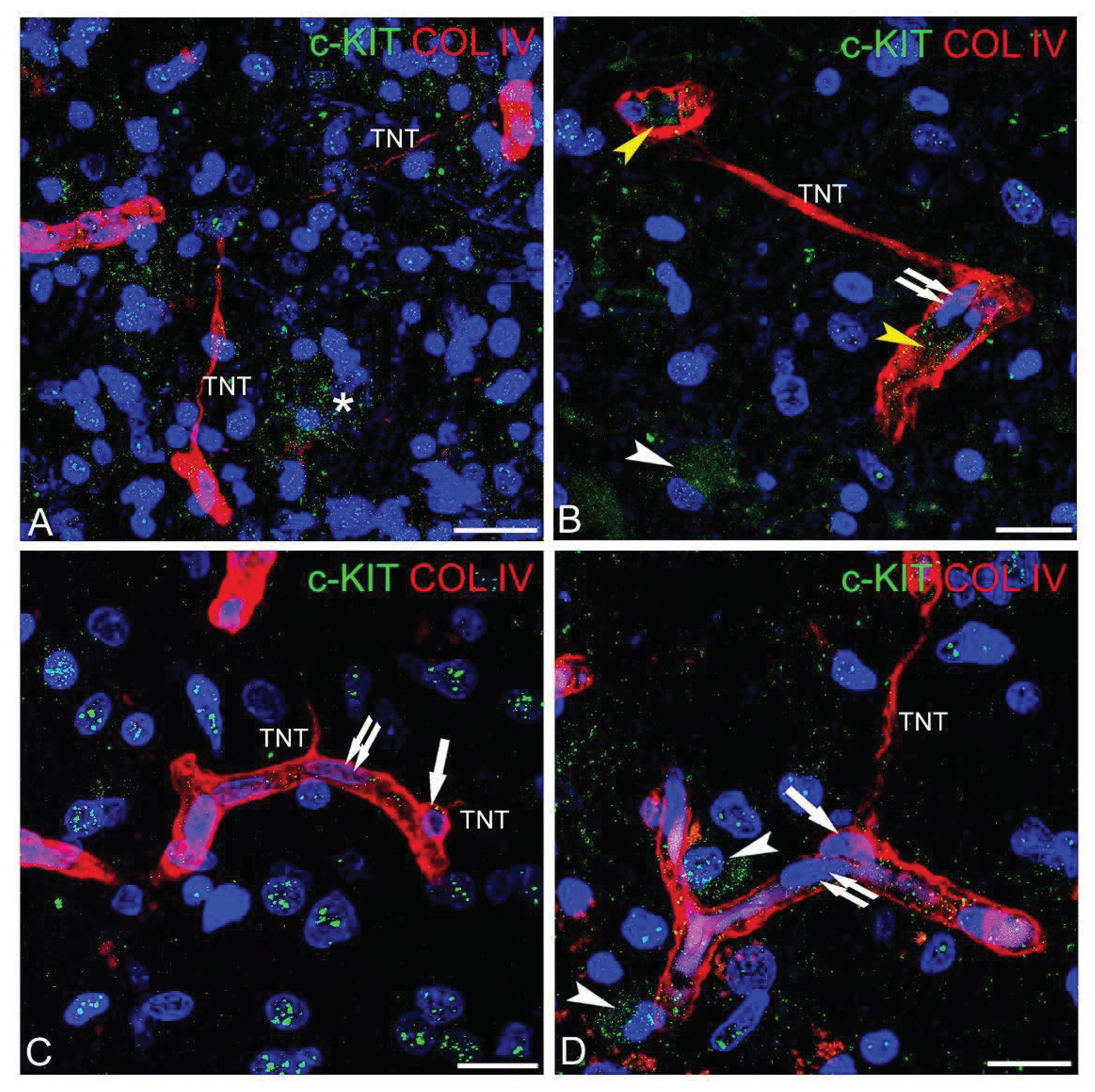 Preprints 94575 g004