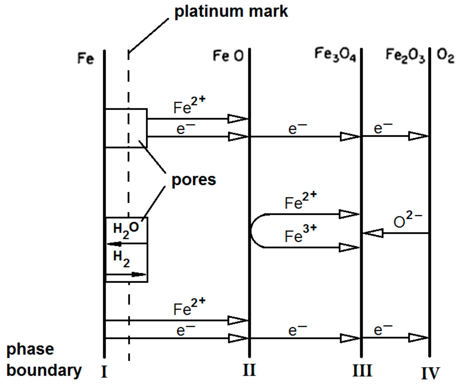 Preprints 111933 g003