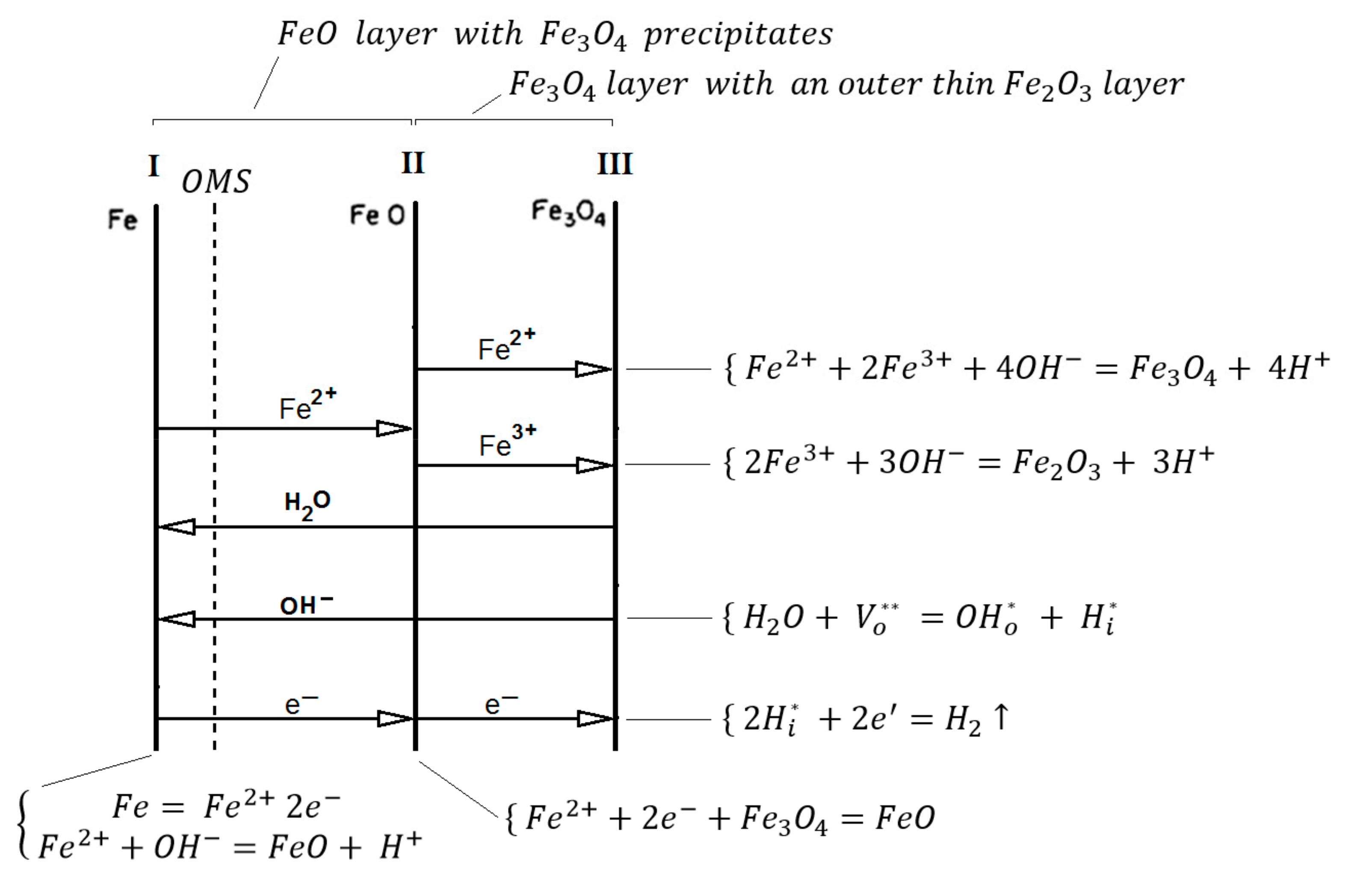 Preprints 111933 g006