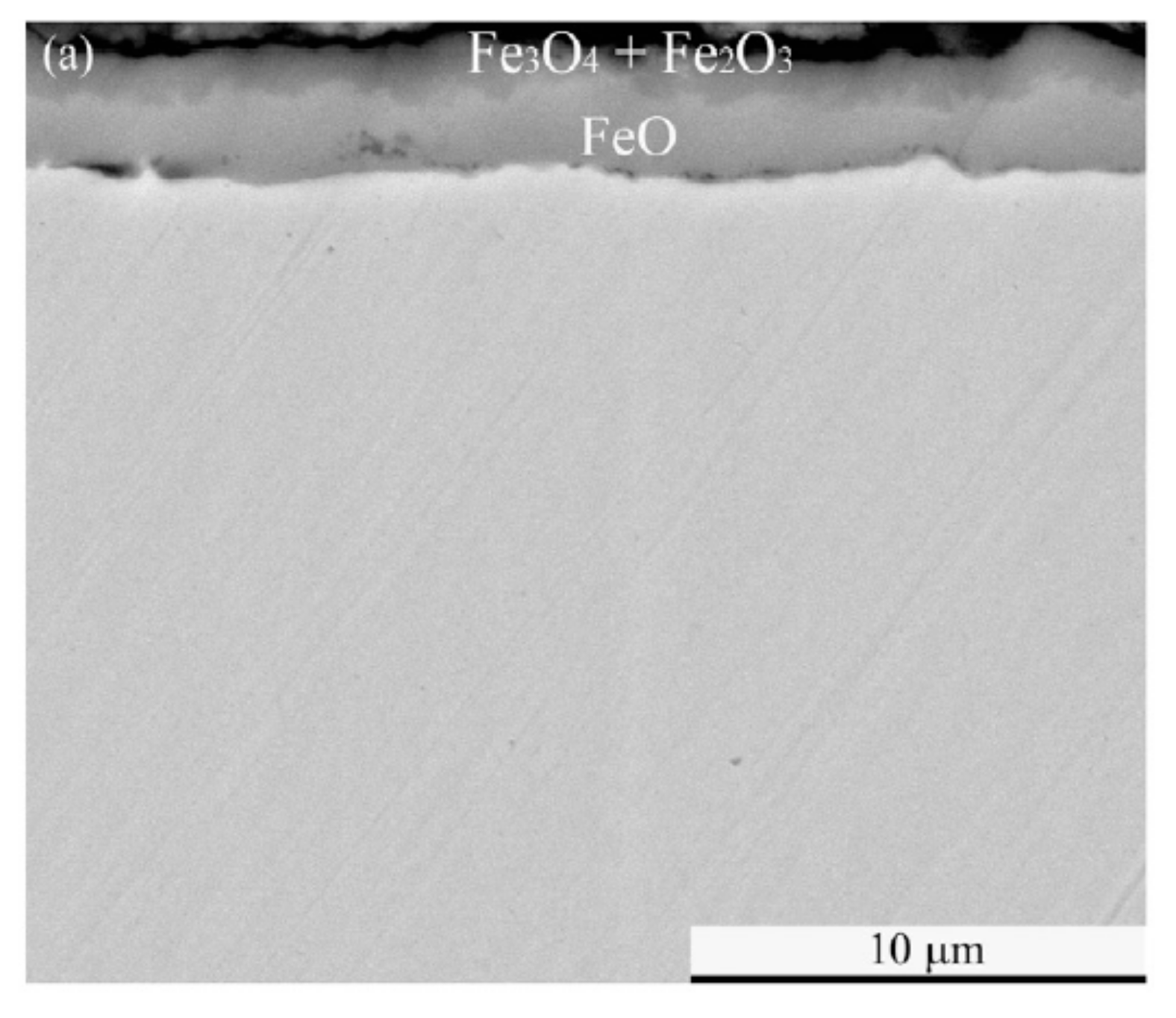 Preprints 111933 g007