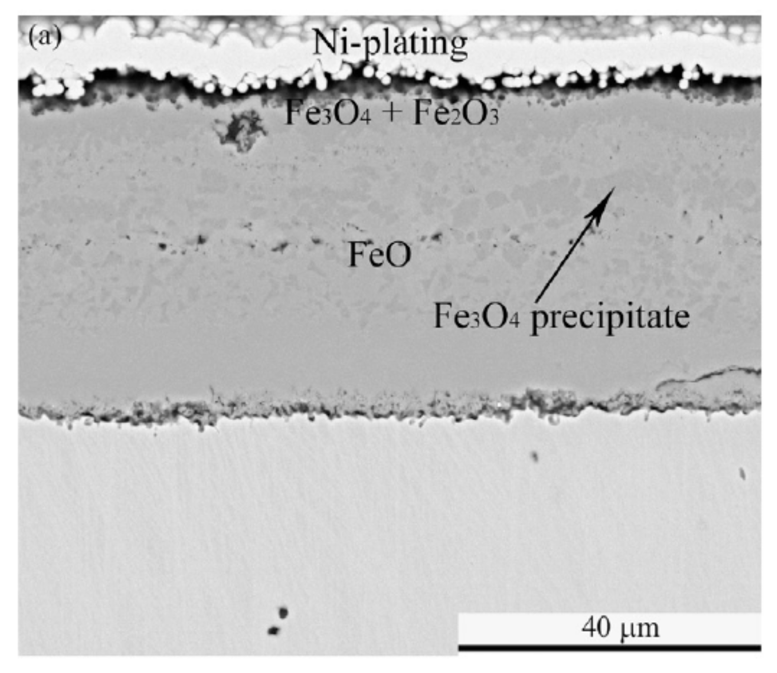 Preprints 111933 g008