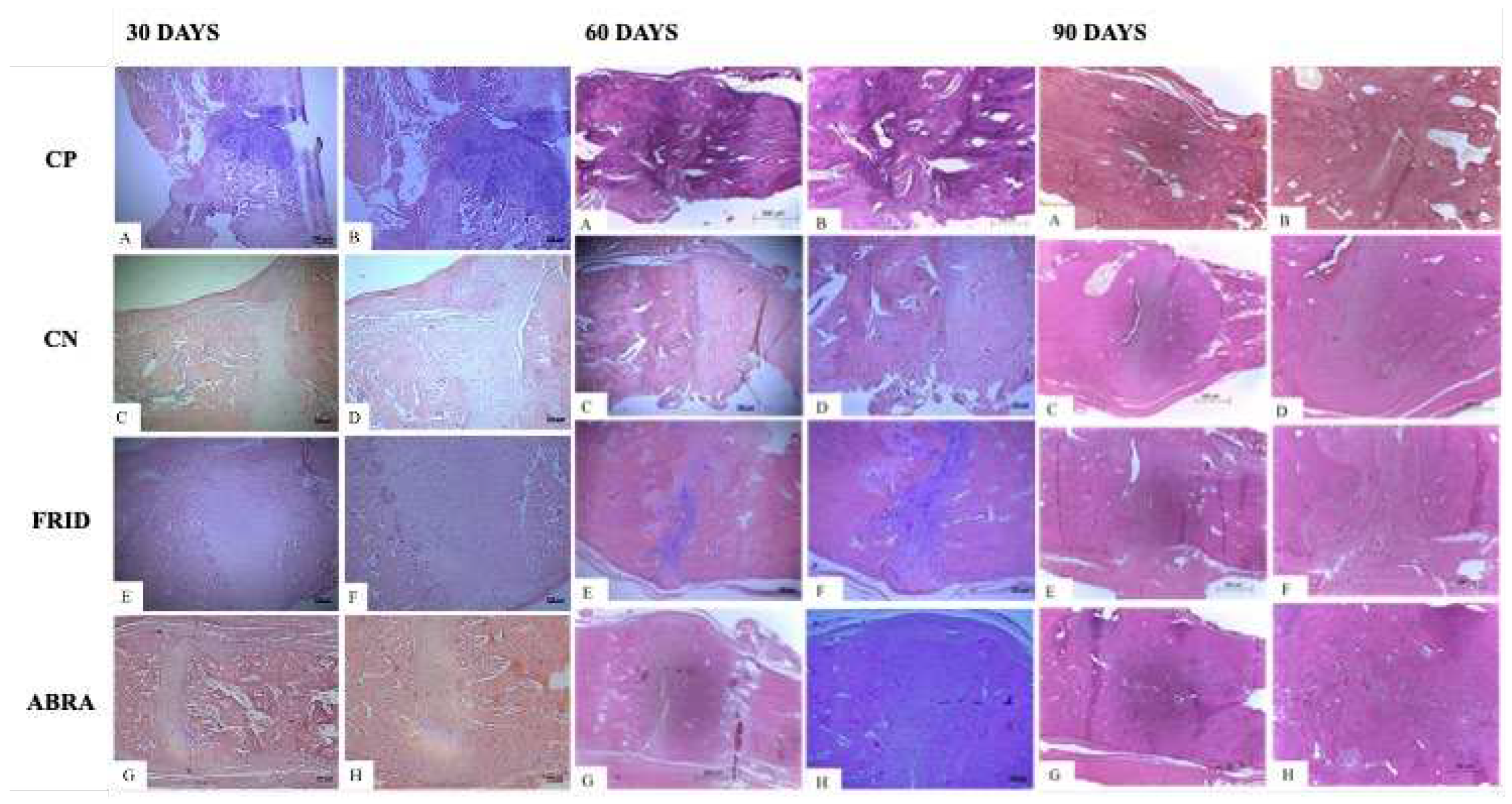 Preprints 67868 g005