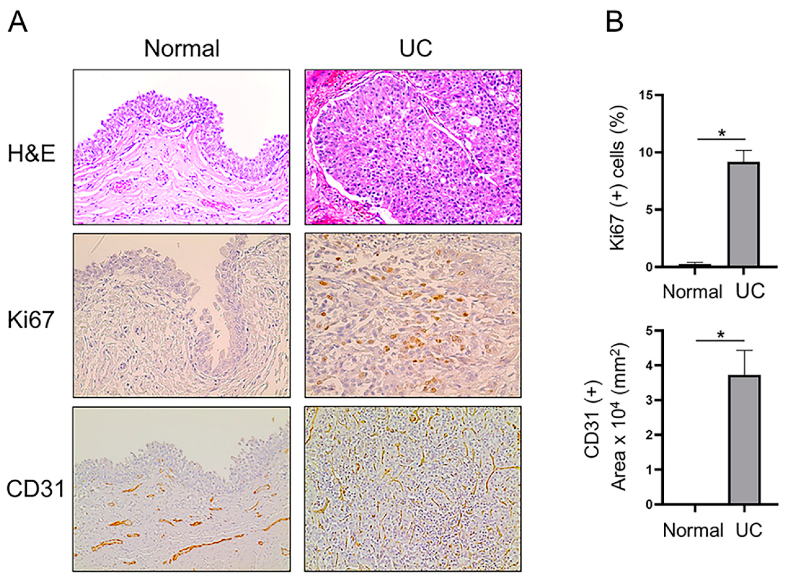 Preprints 114627 g001