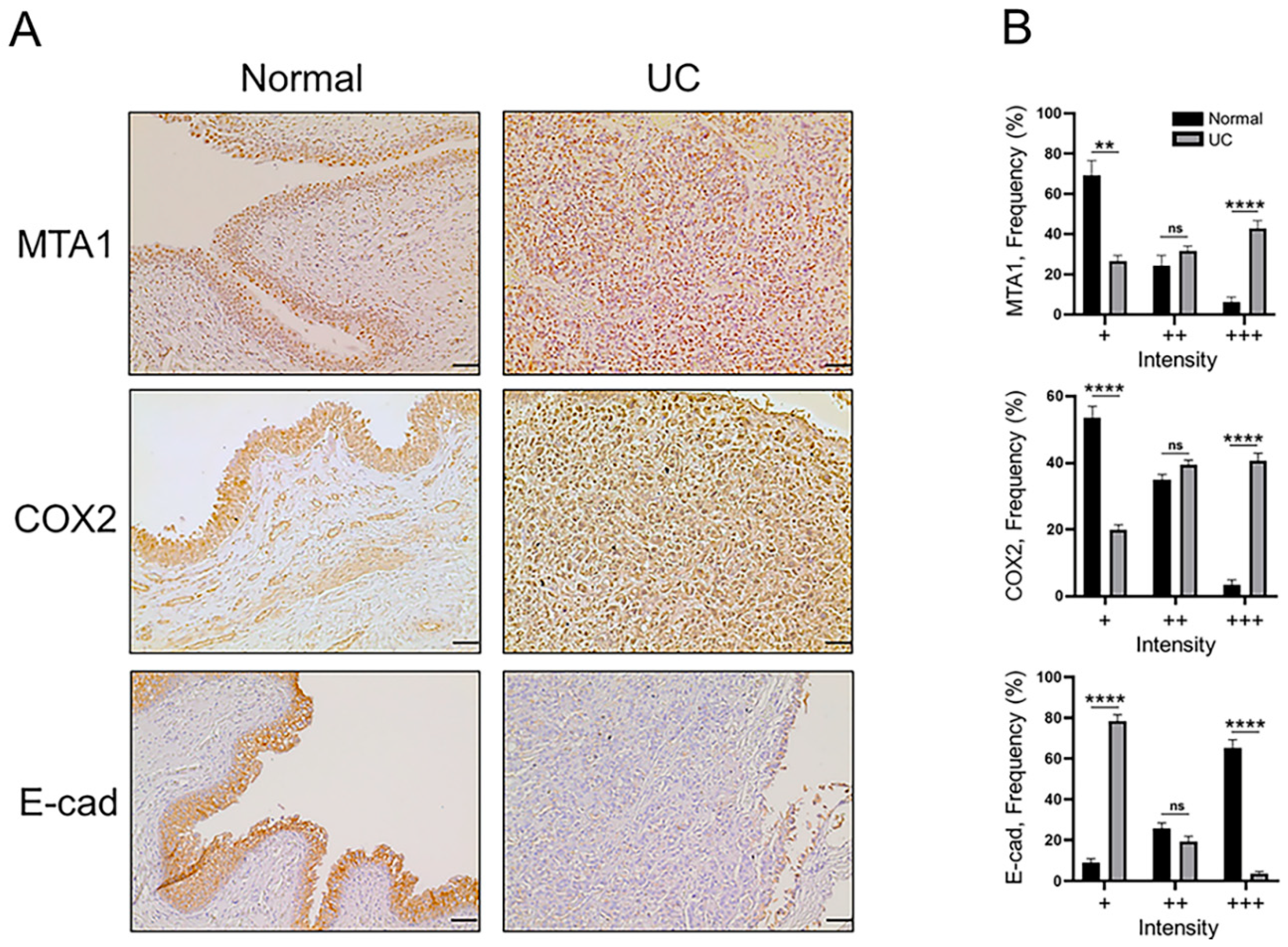 Preprints 114627 g002