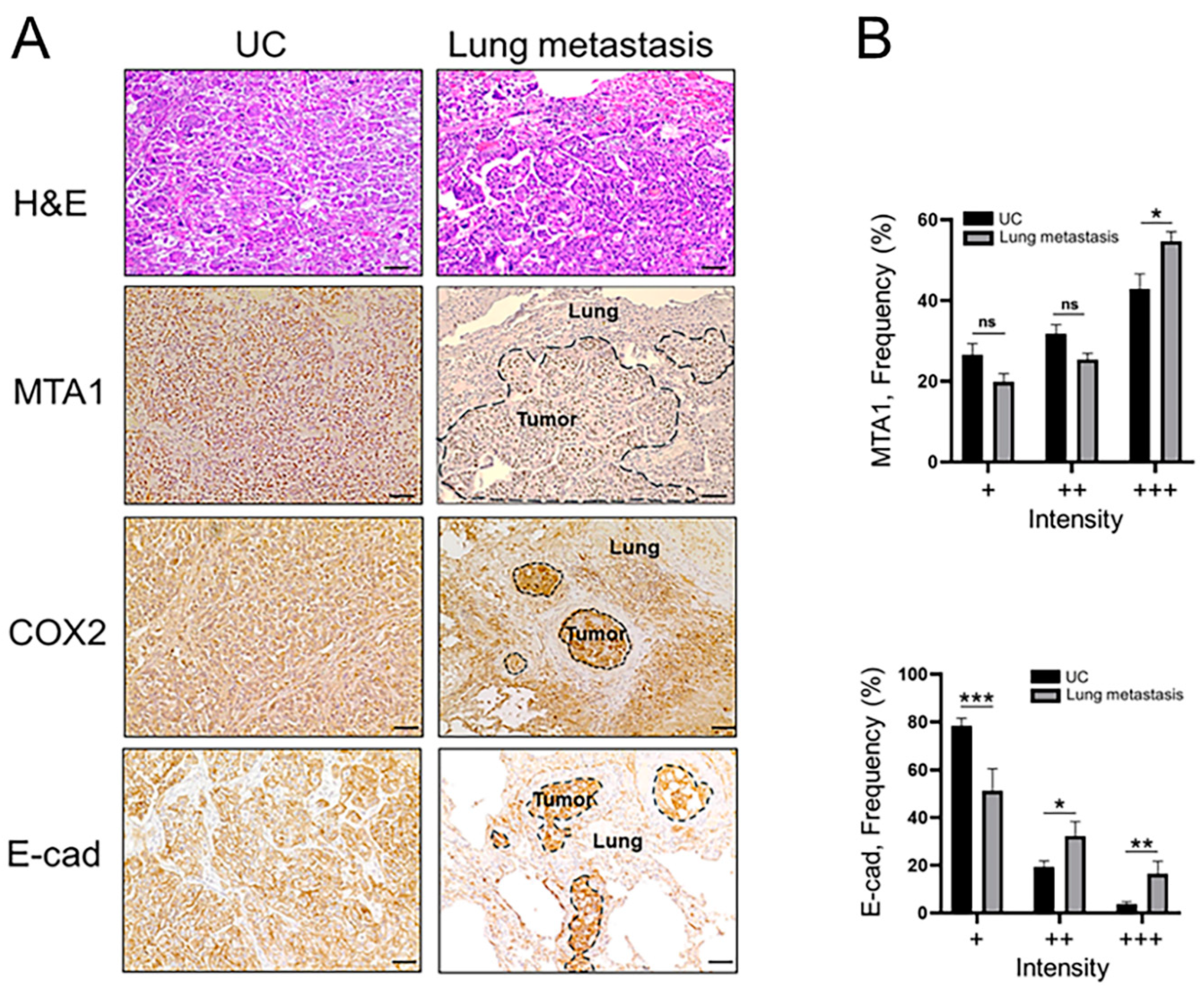 Preprints 114627 g003