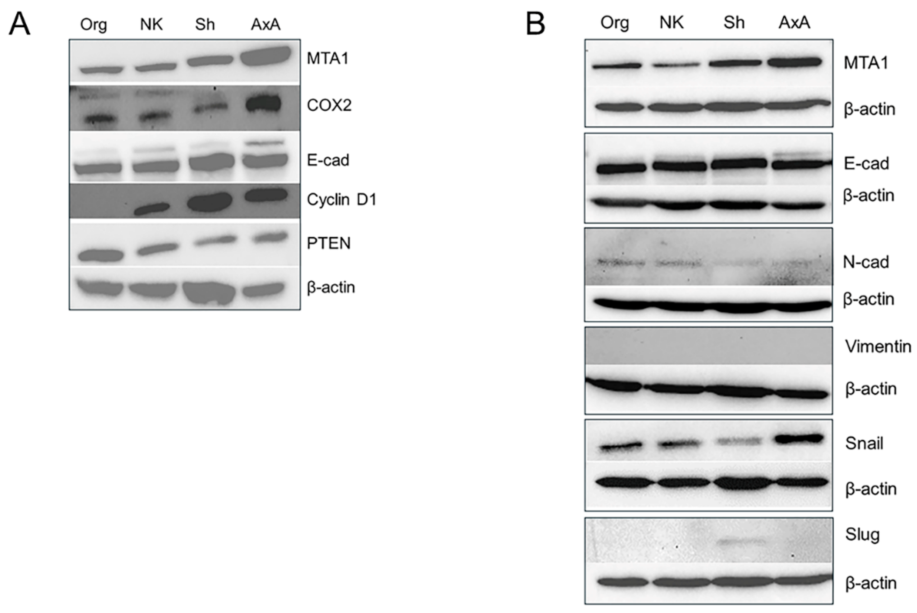 Preprints 114627 g006