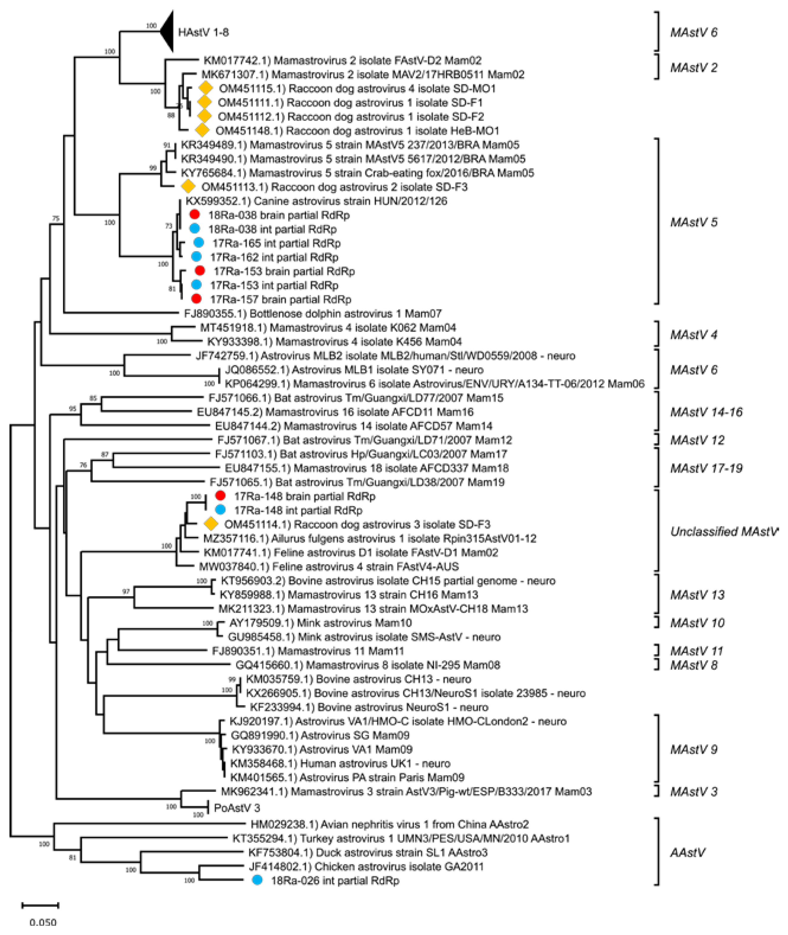 Preprints 75586 g001