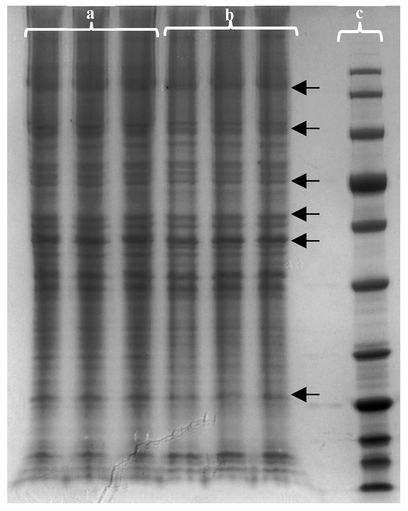 Preprints 74627 g003