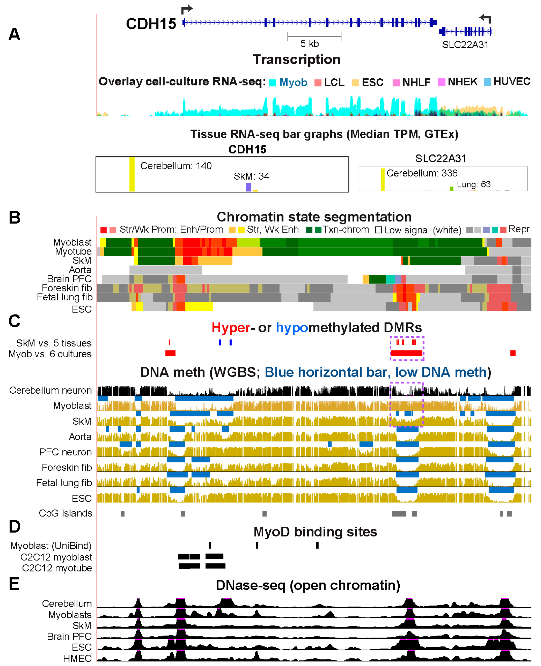 Preprints 93145 g001