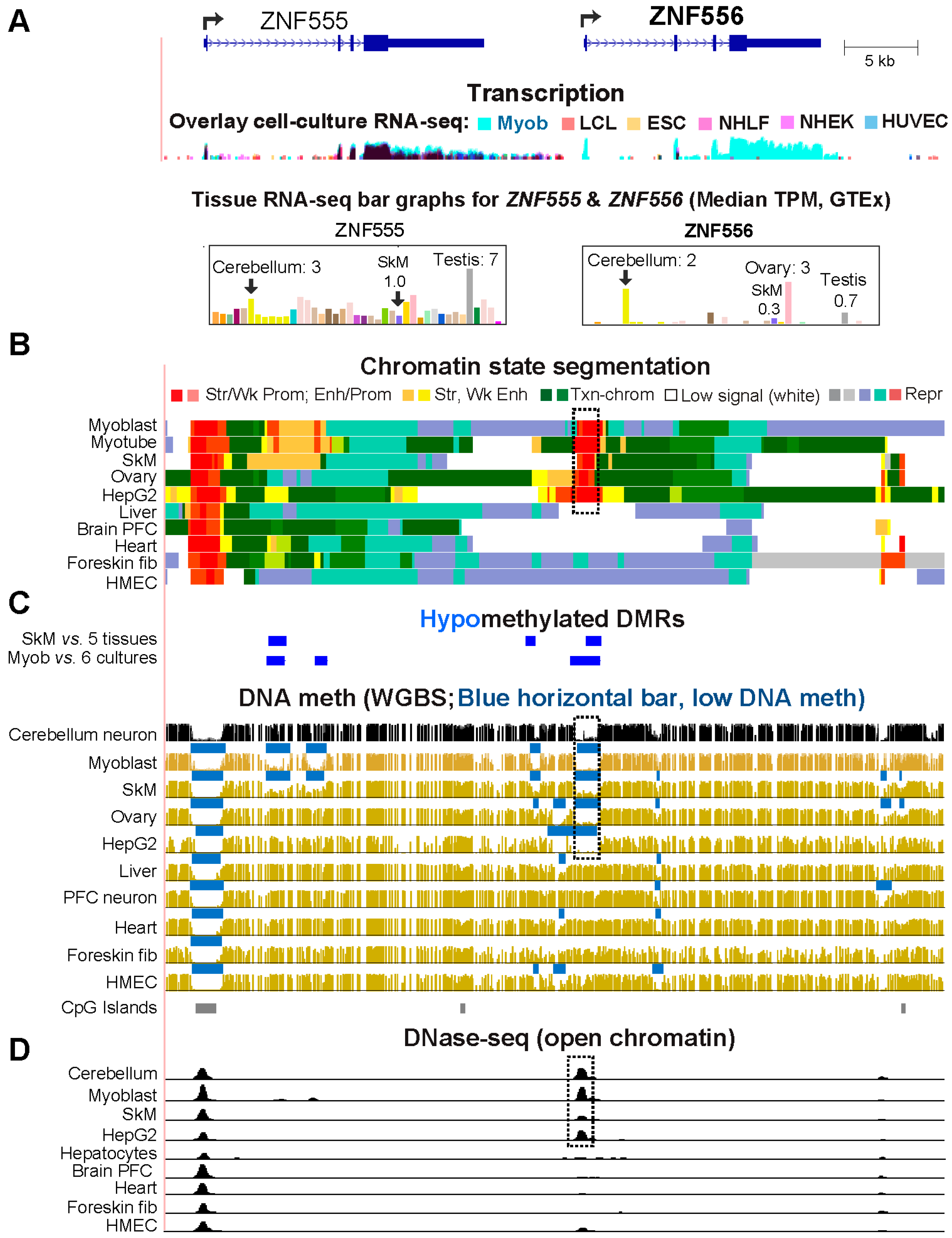 Preprints 93145 g002