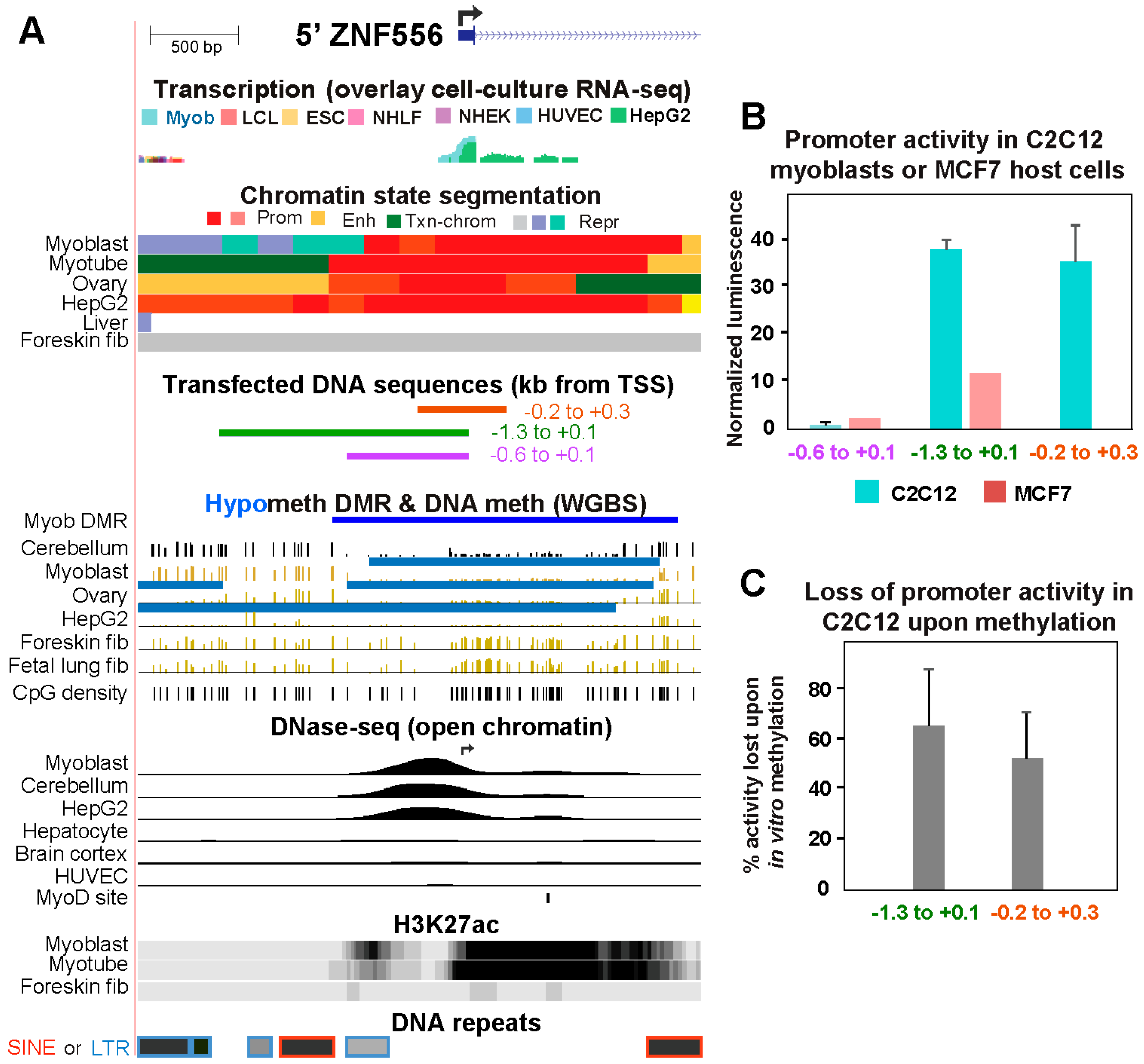 Preprints 93145 g003