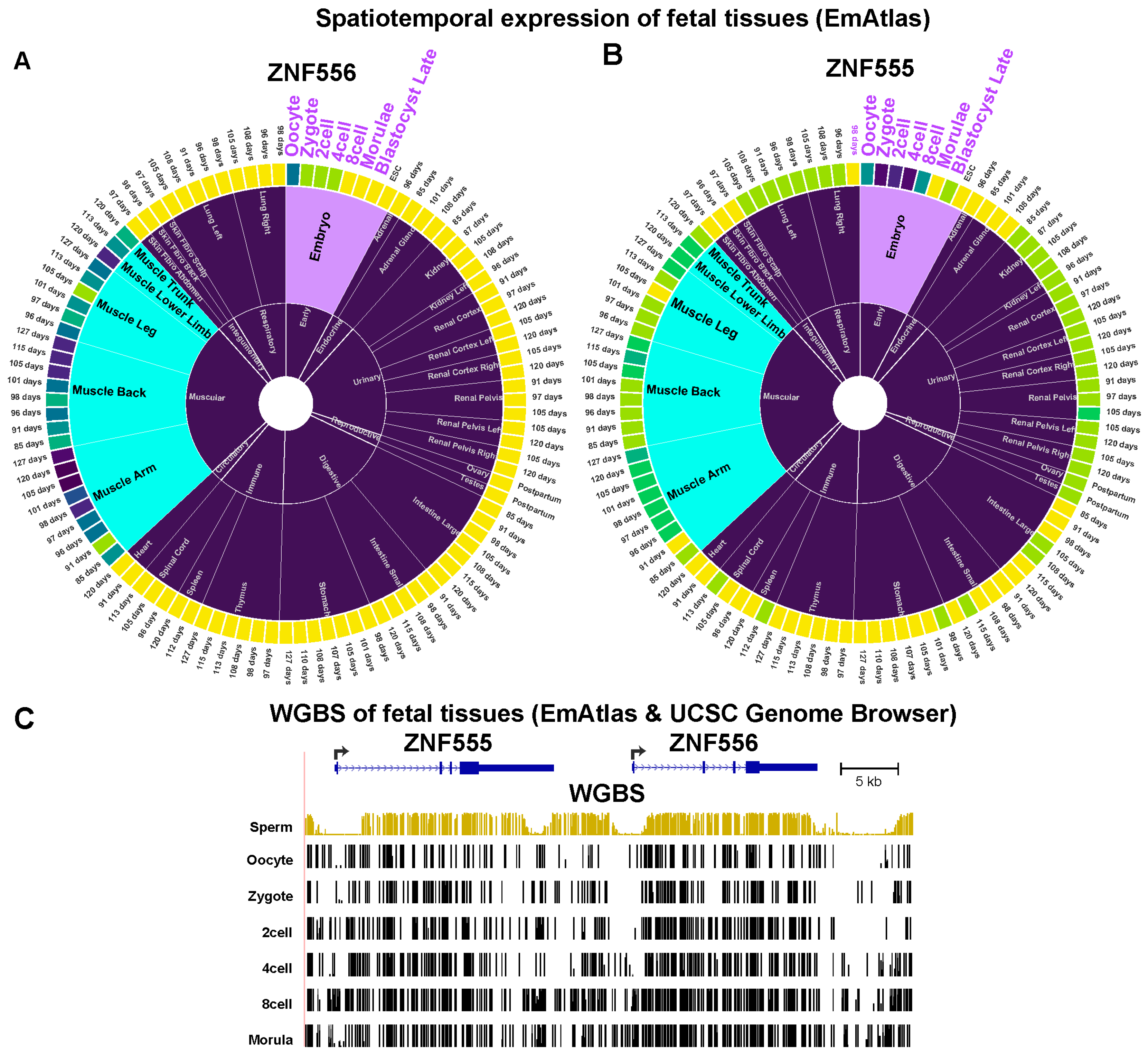 Preprints 93145 g004