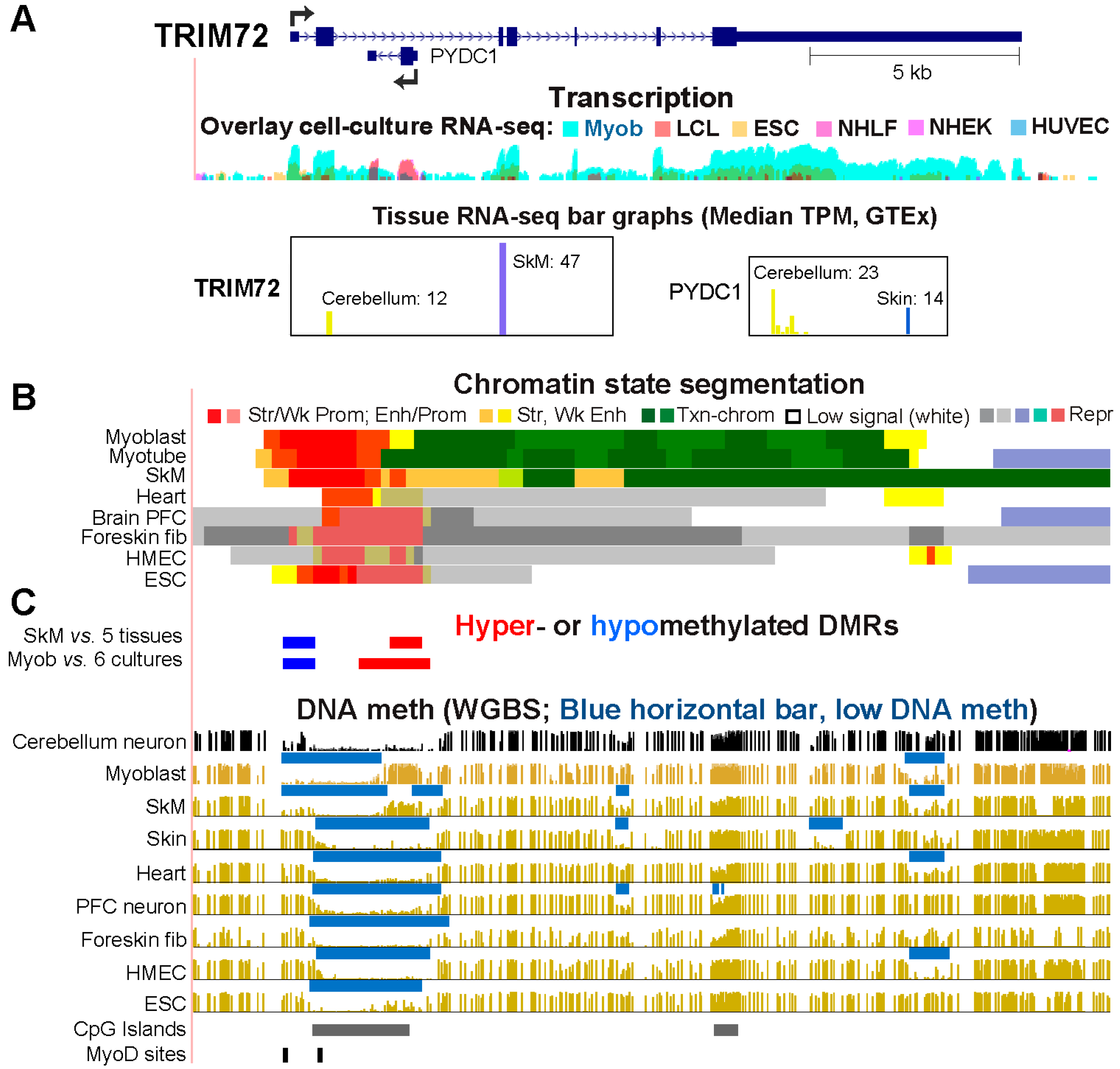 Preprints 93145 g005