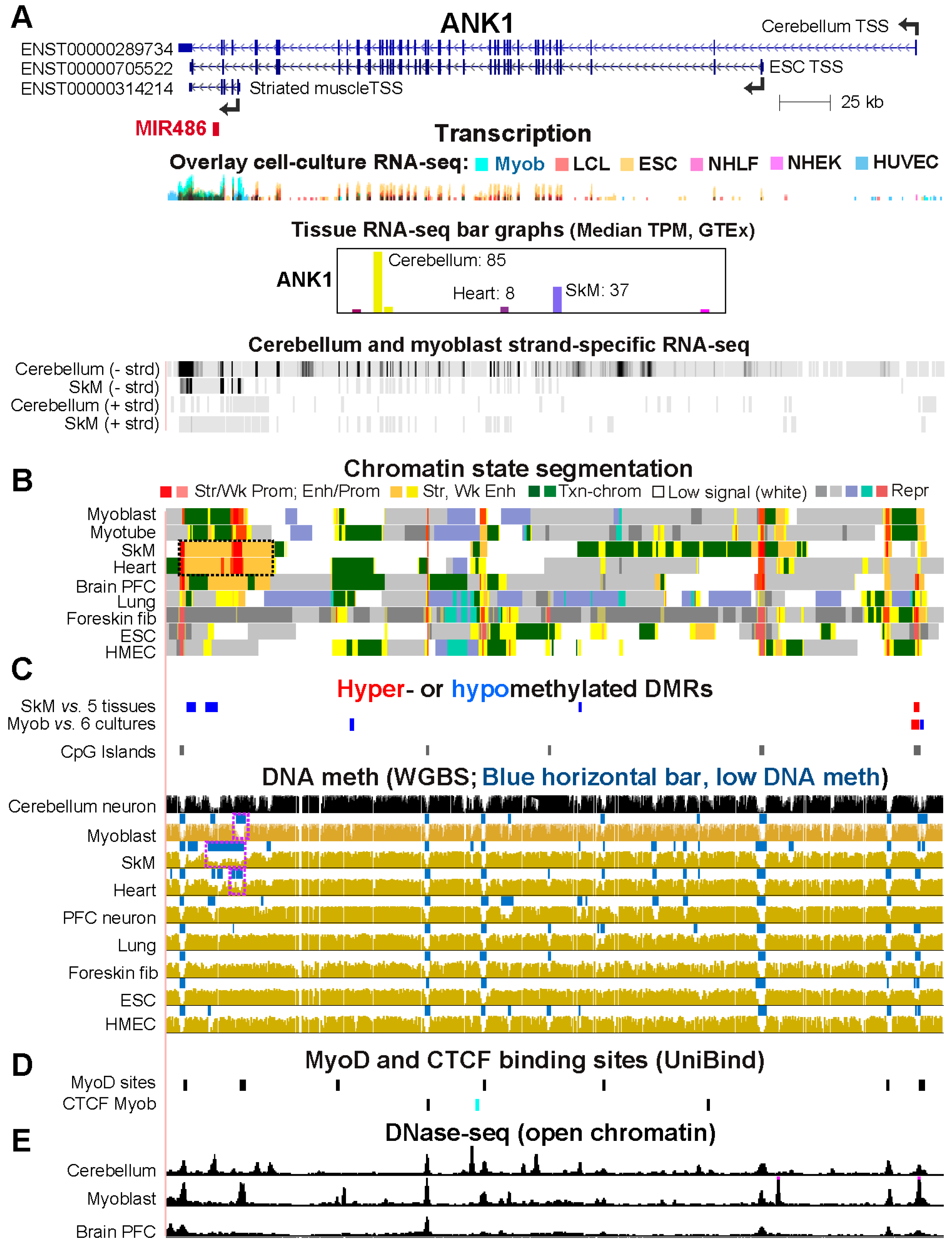 Preprints 93145 g006