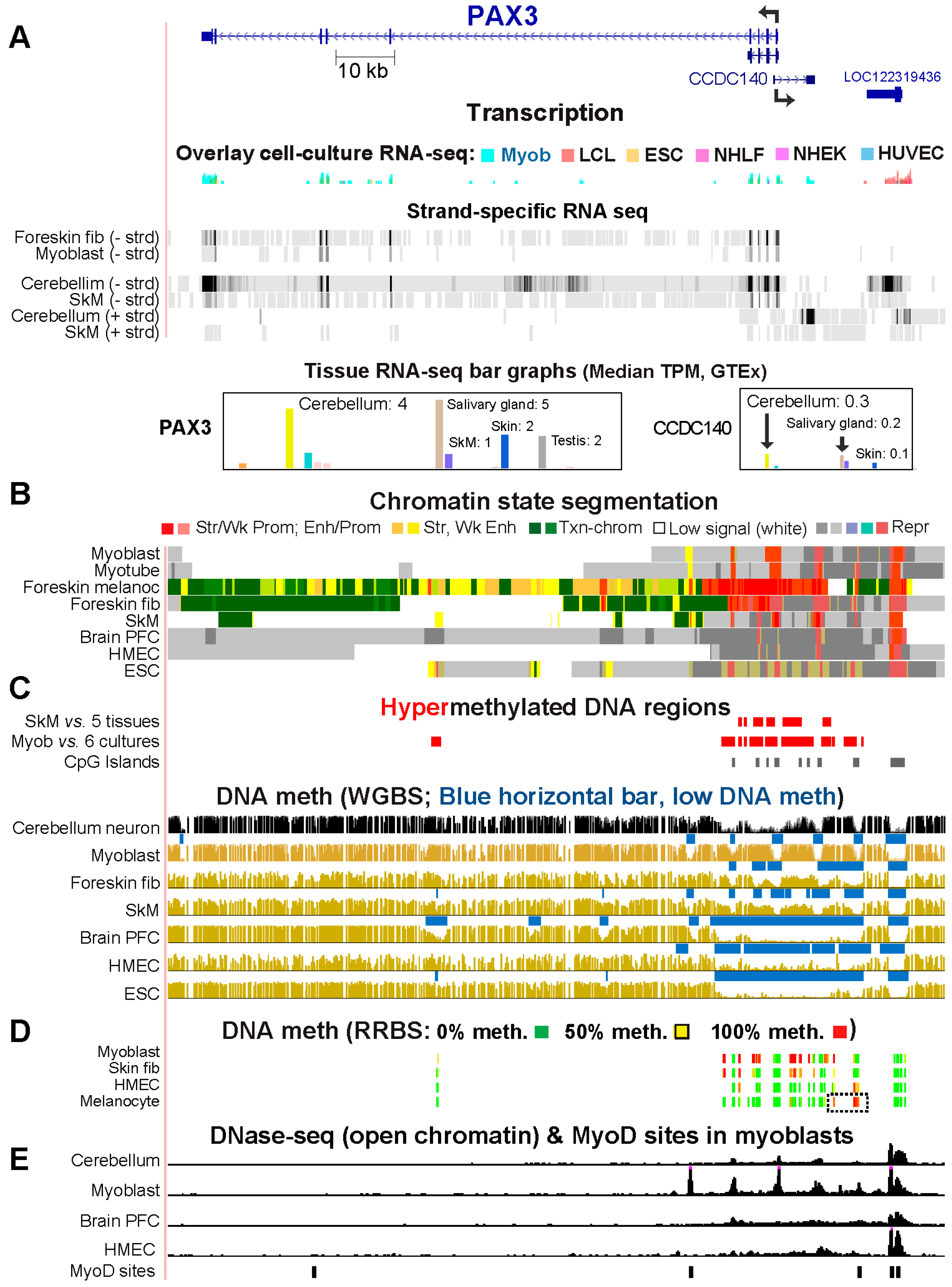 Preprints 93145 g007