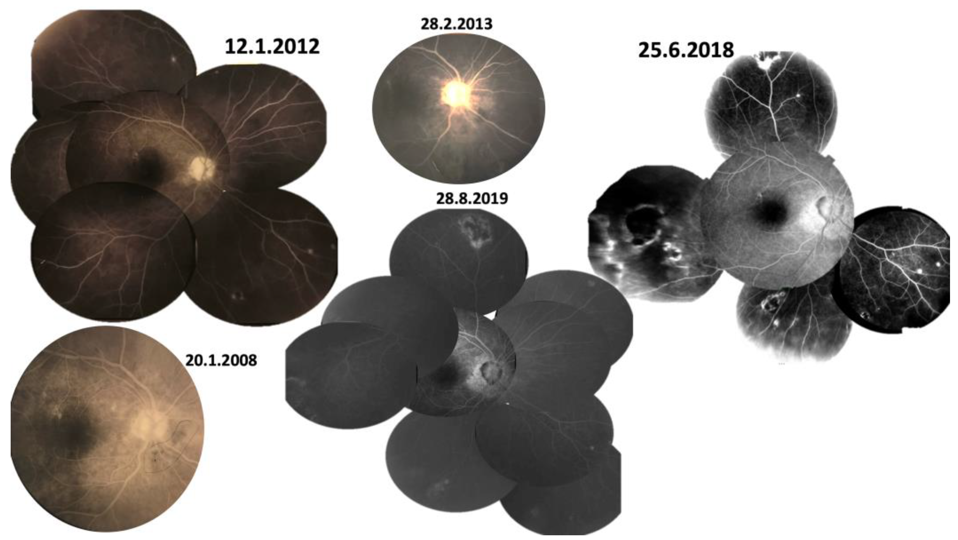 Preprints 87319 g002