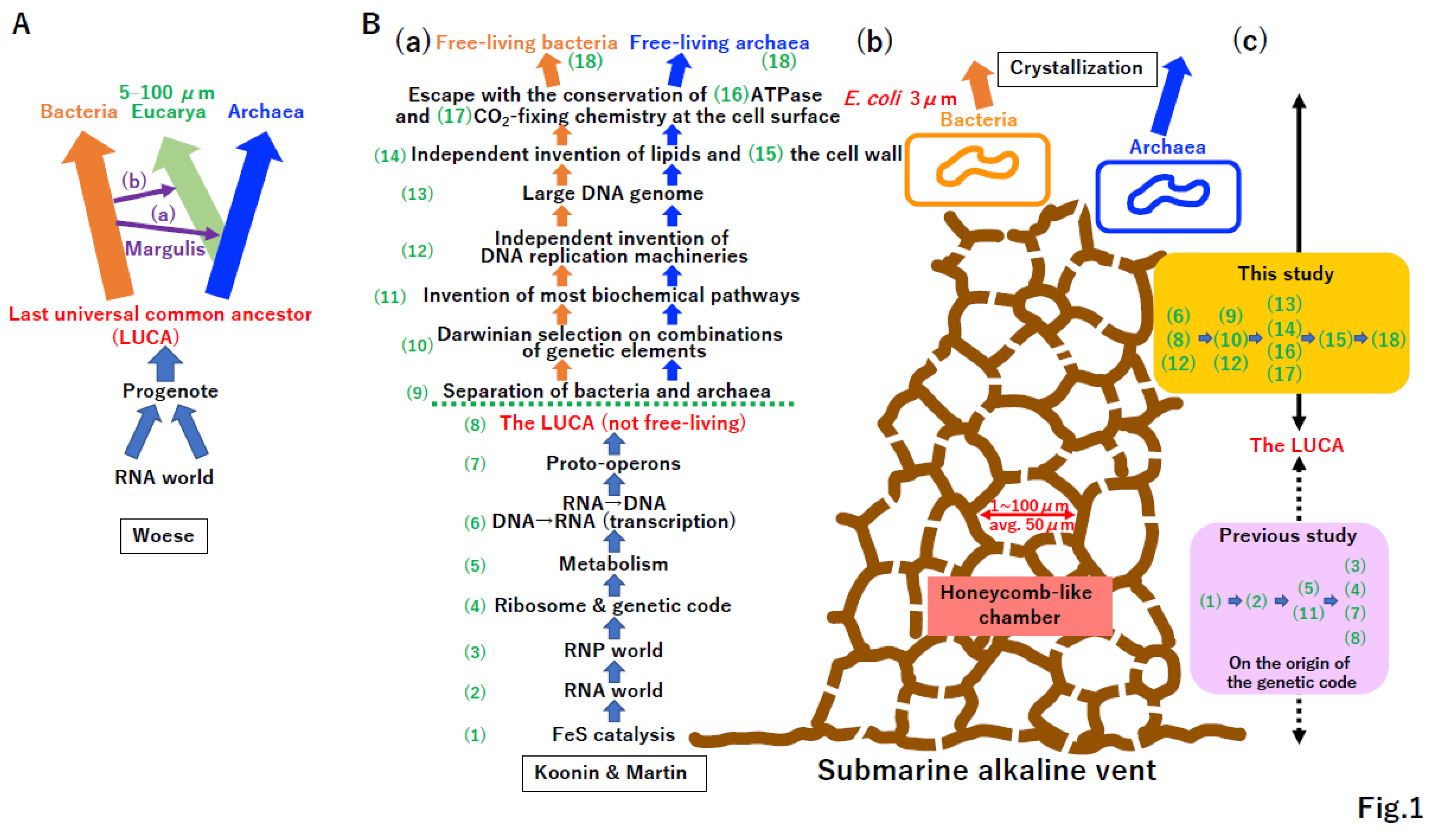 Preprints 96029 g001