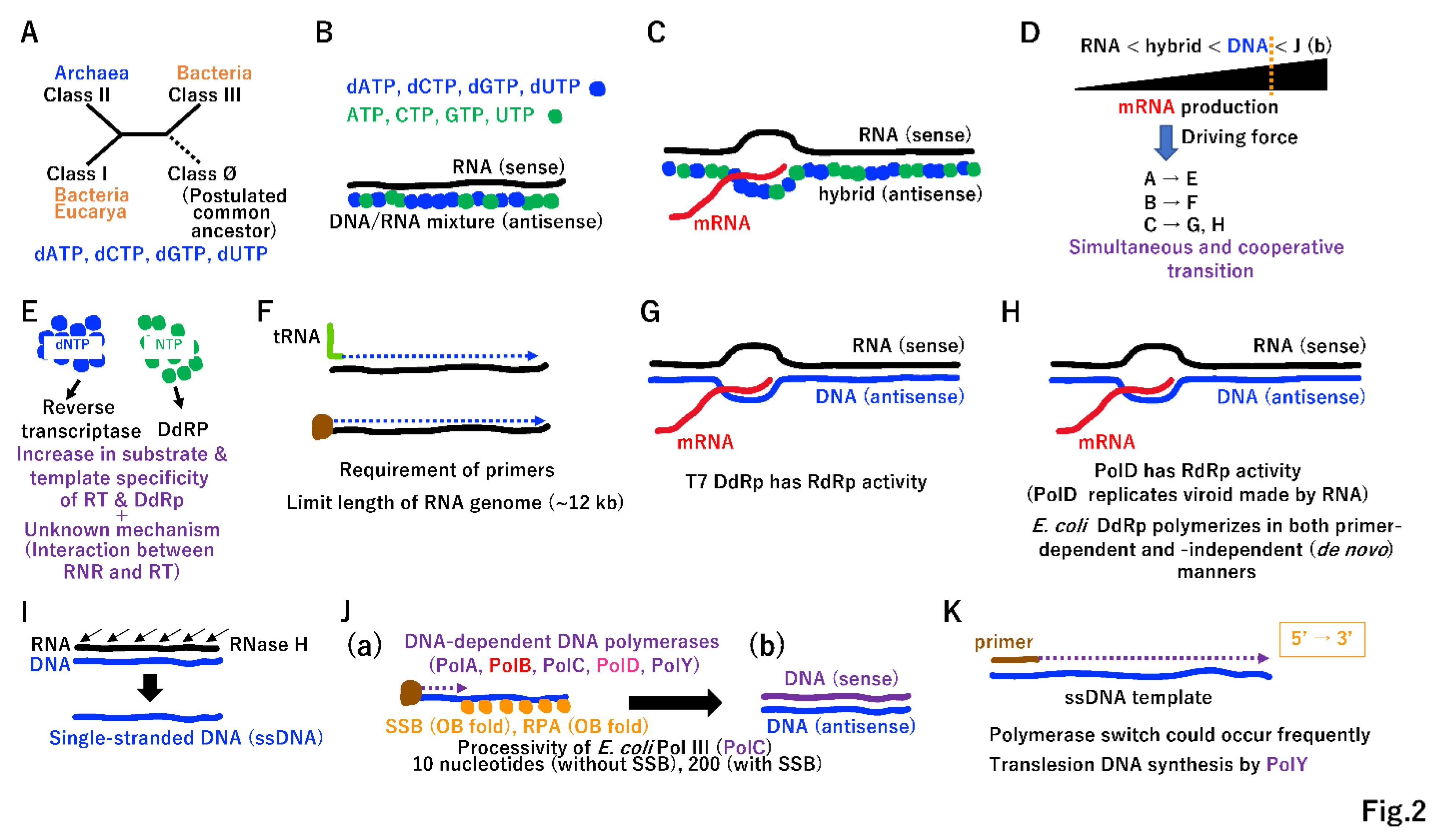 Preprints 96029 g002