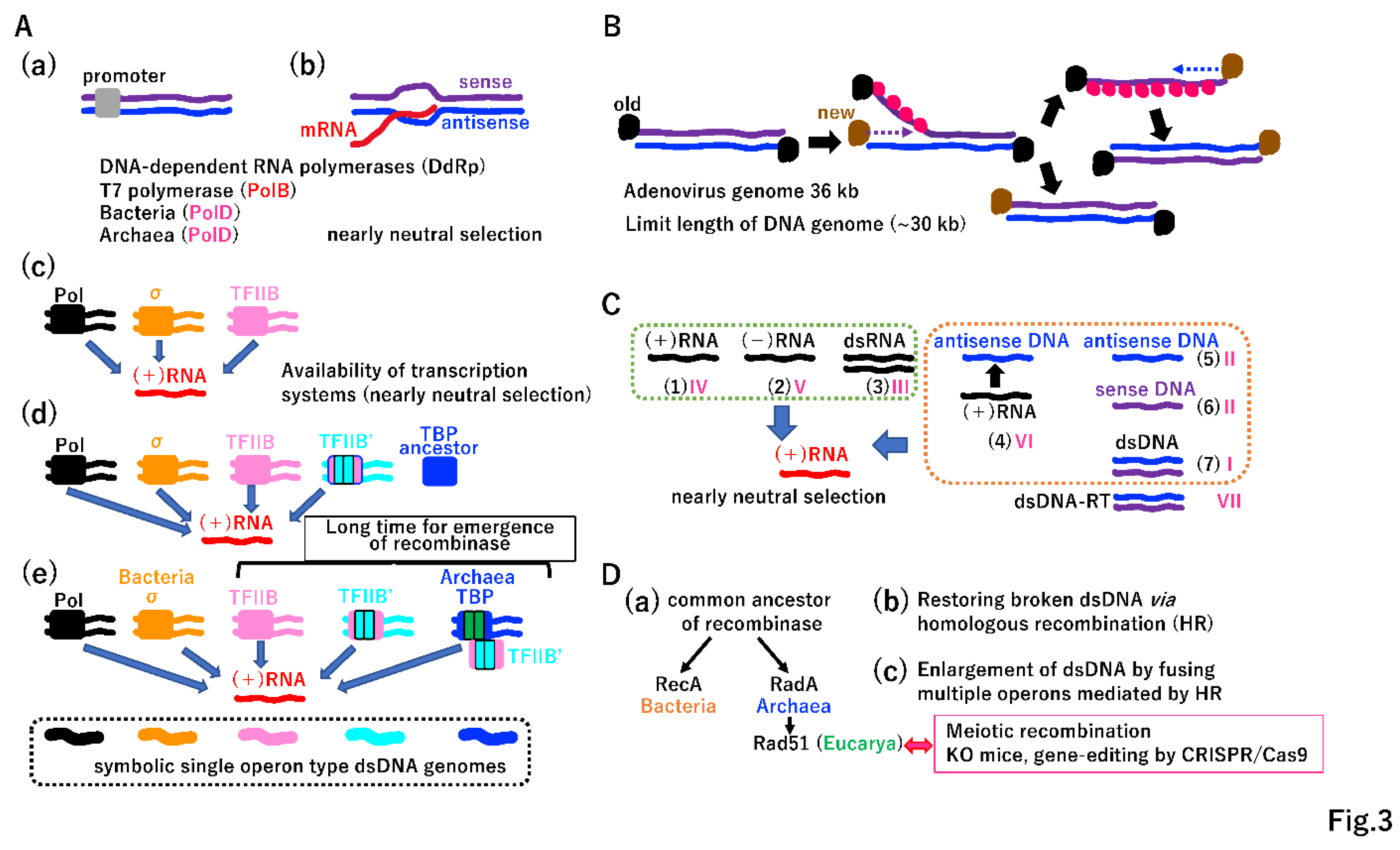 Preprints 96029 g003