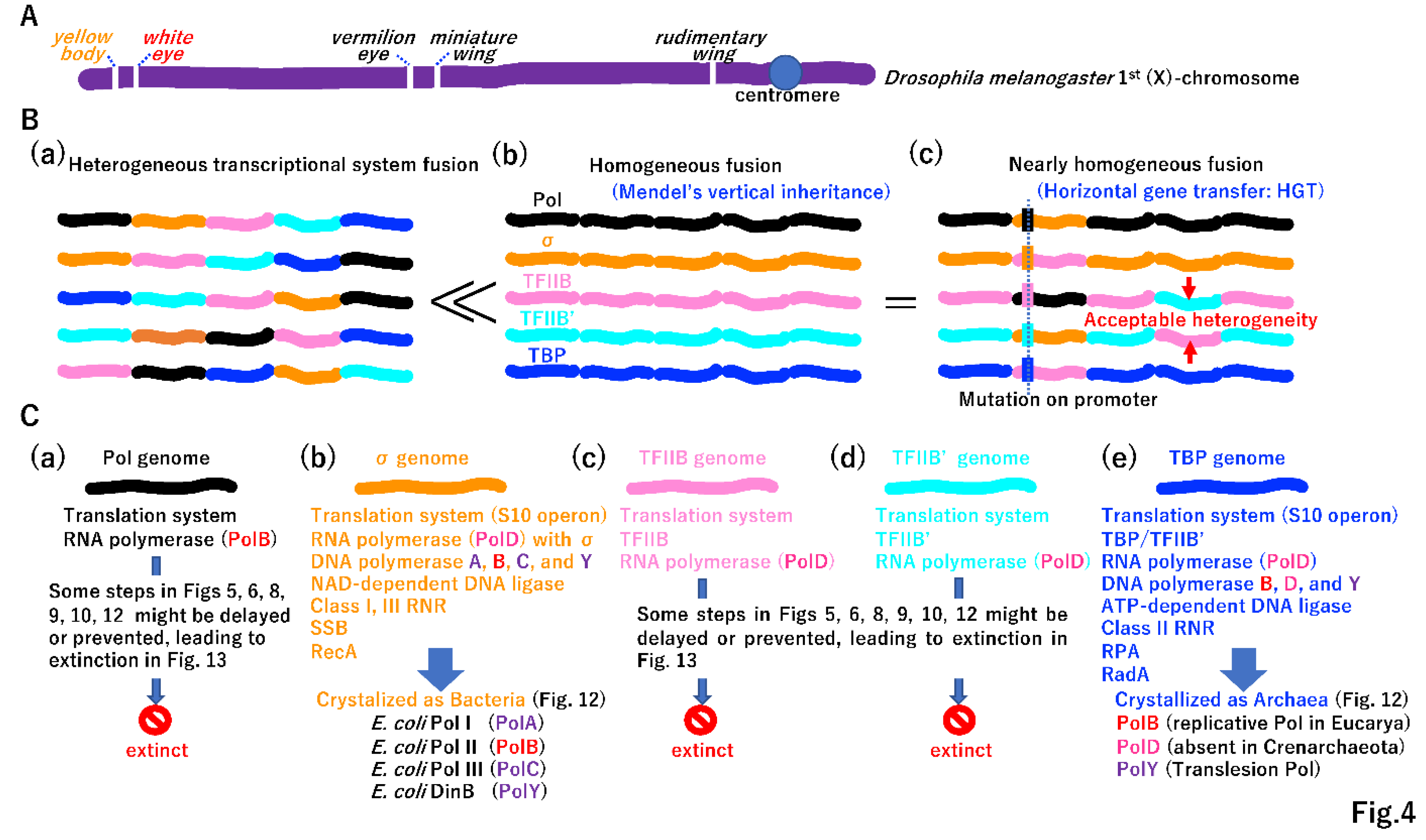 Preprints 96029 g004