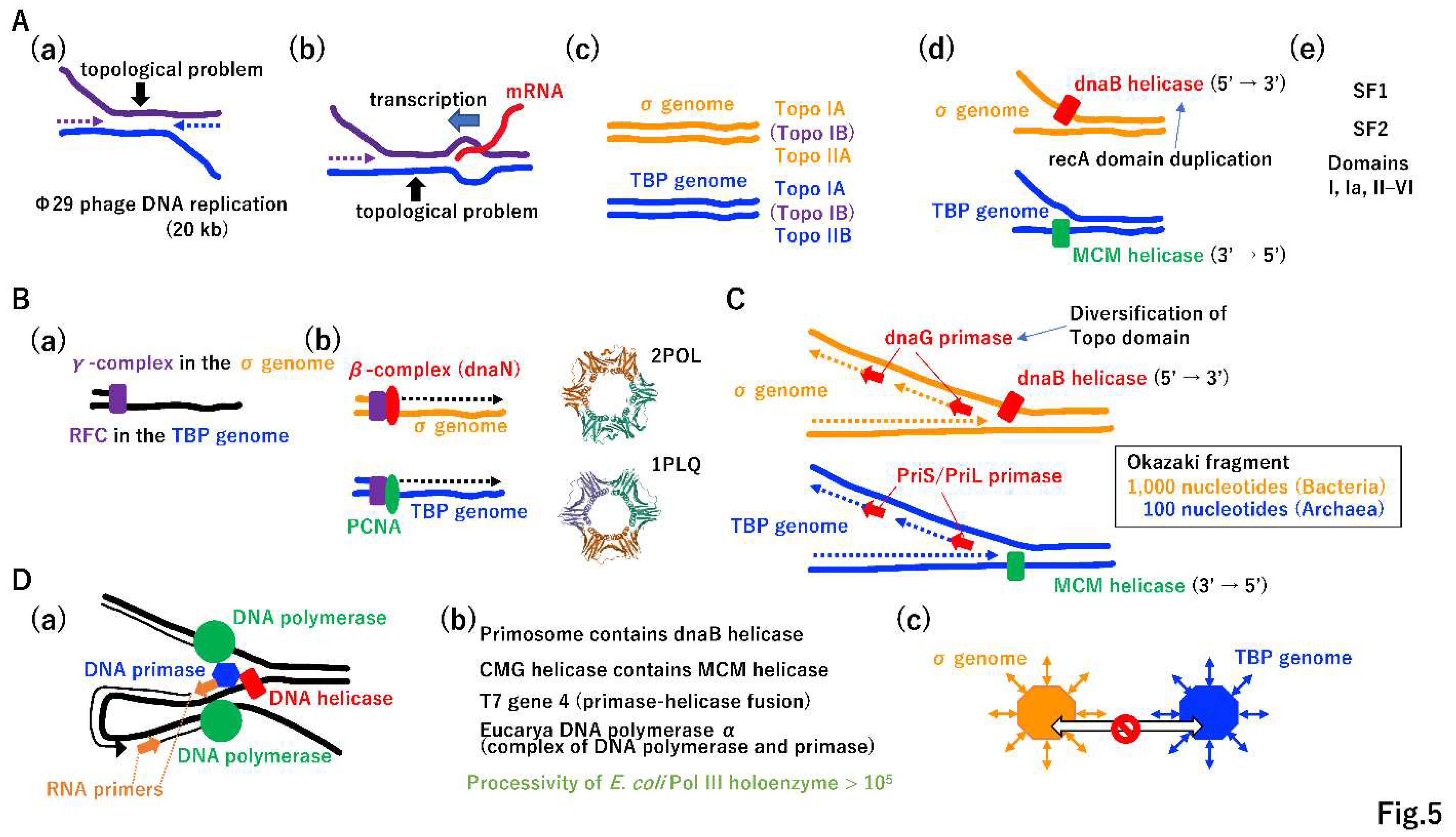 Preprints 96029 g005