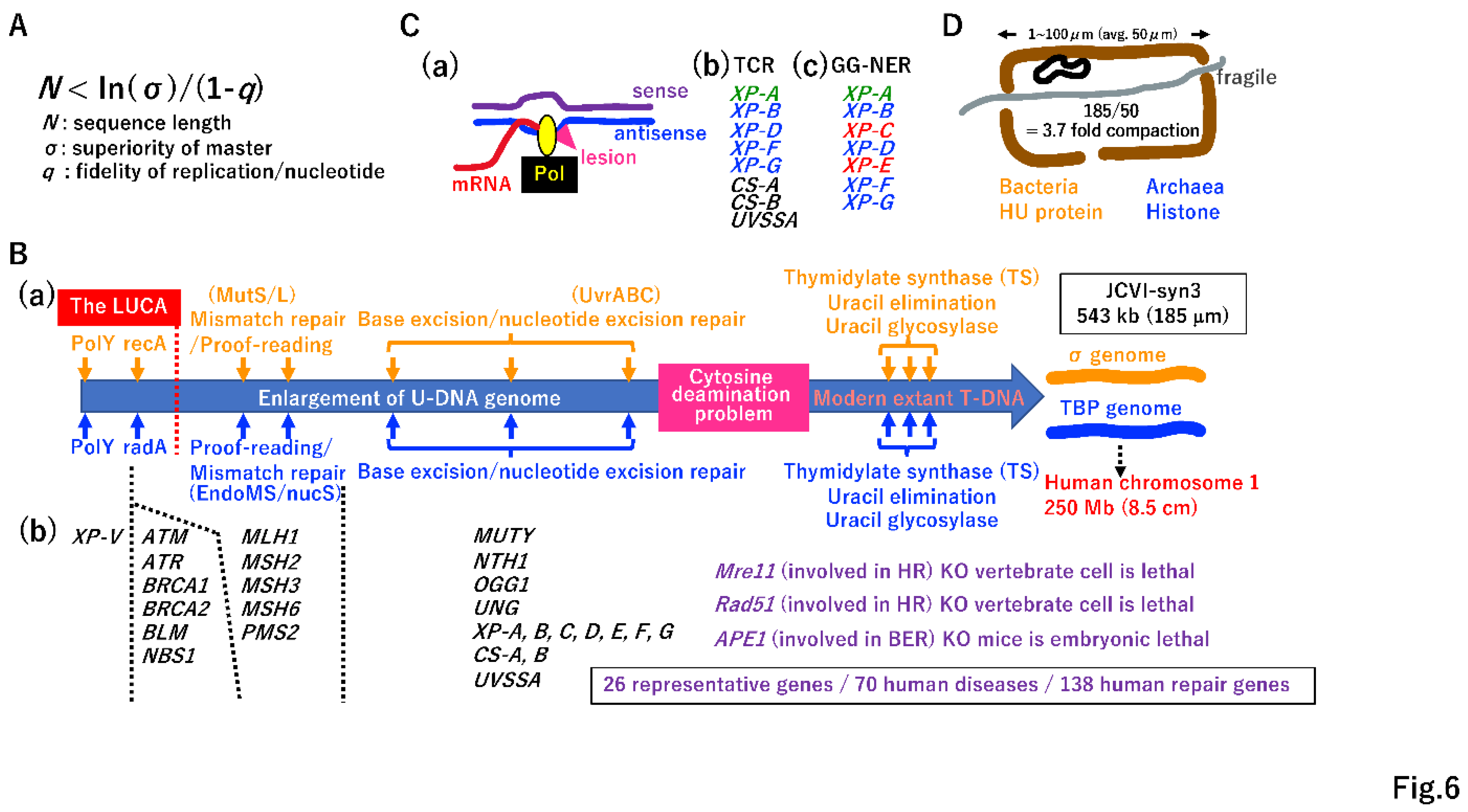 Preprints 96029 g006