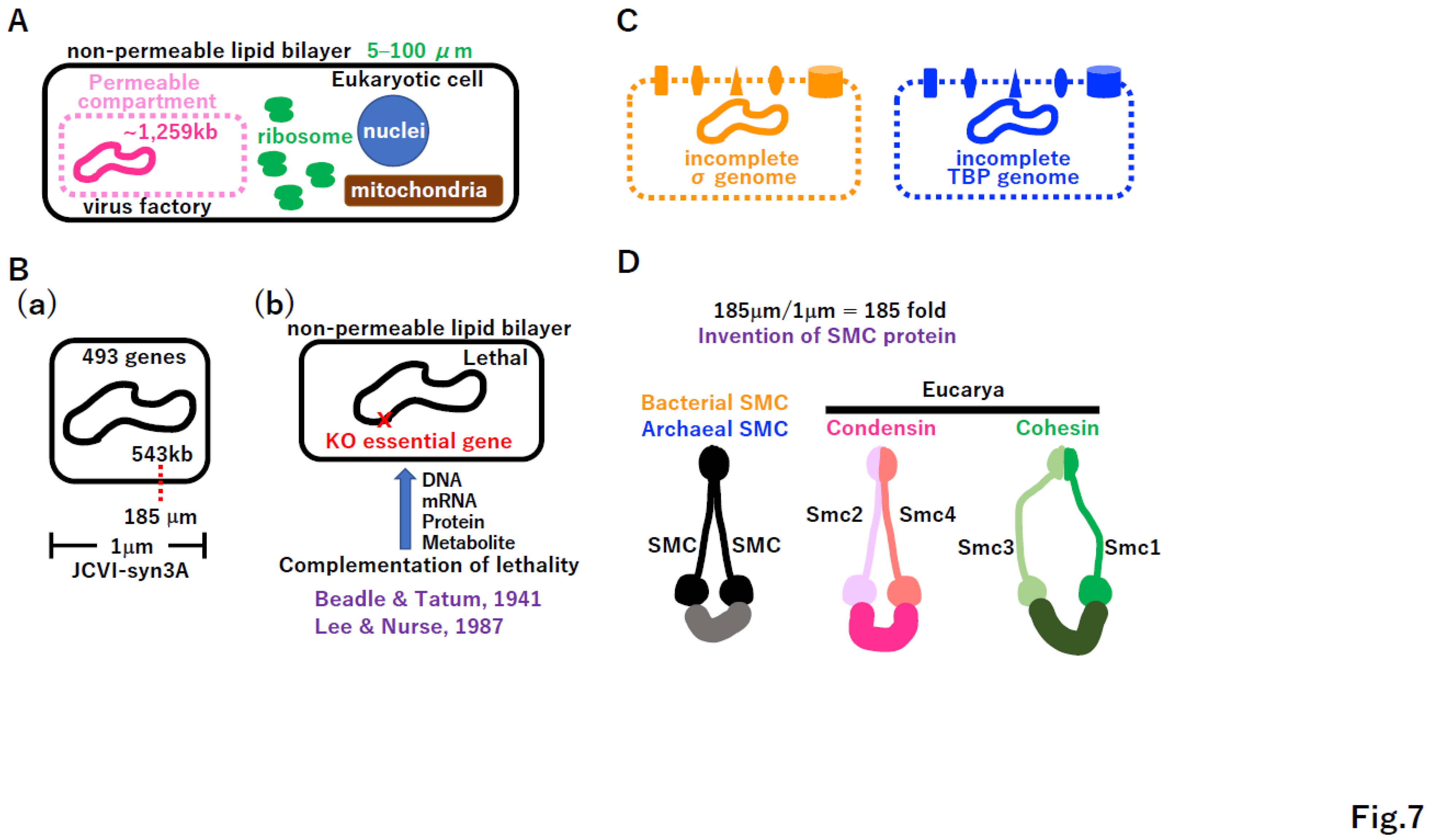 Preprints 96029 g007