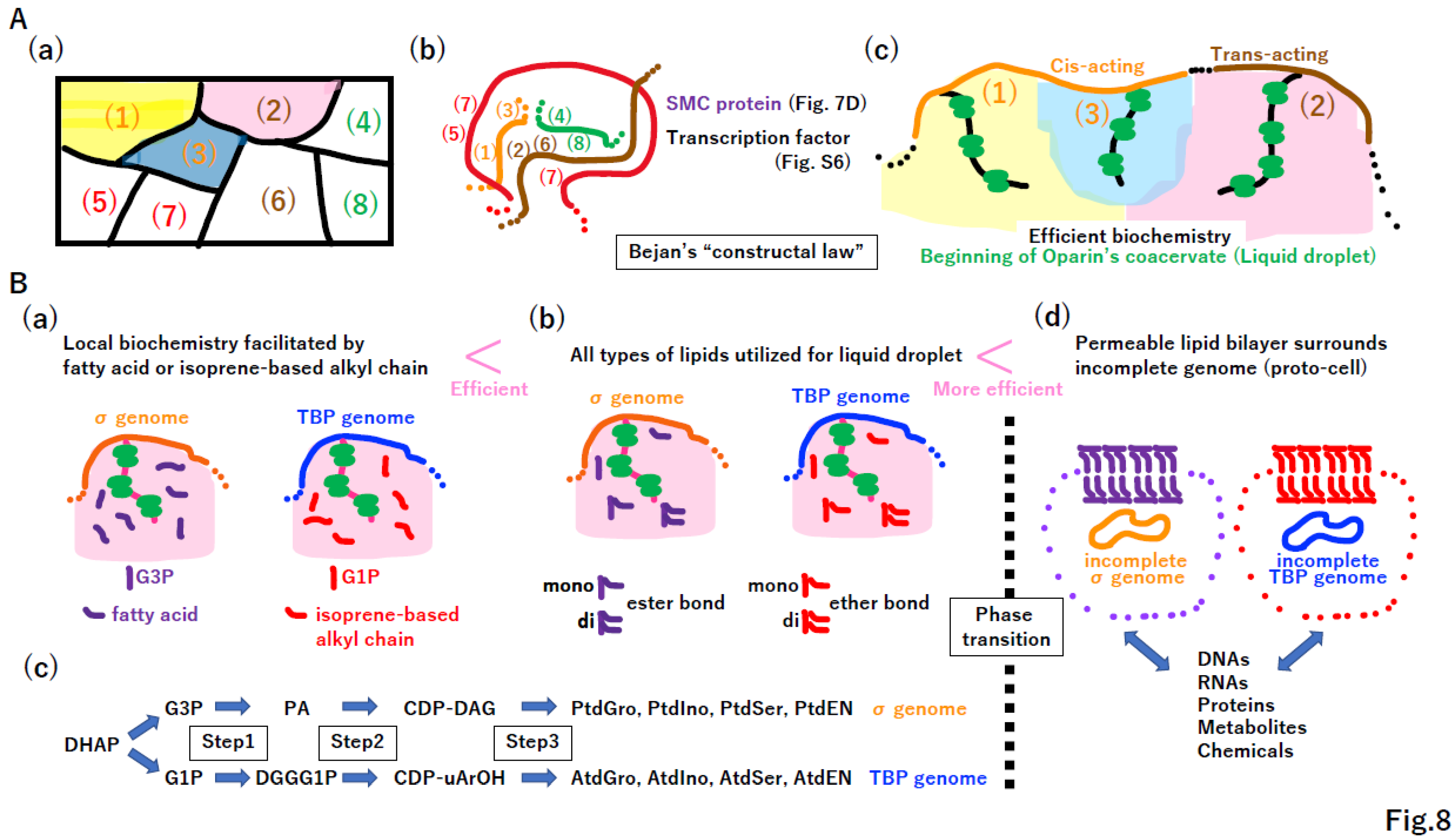 Preprints 96029 g008