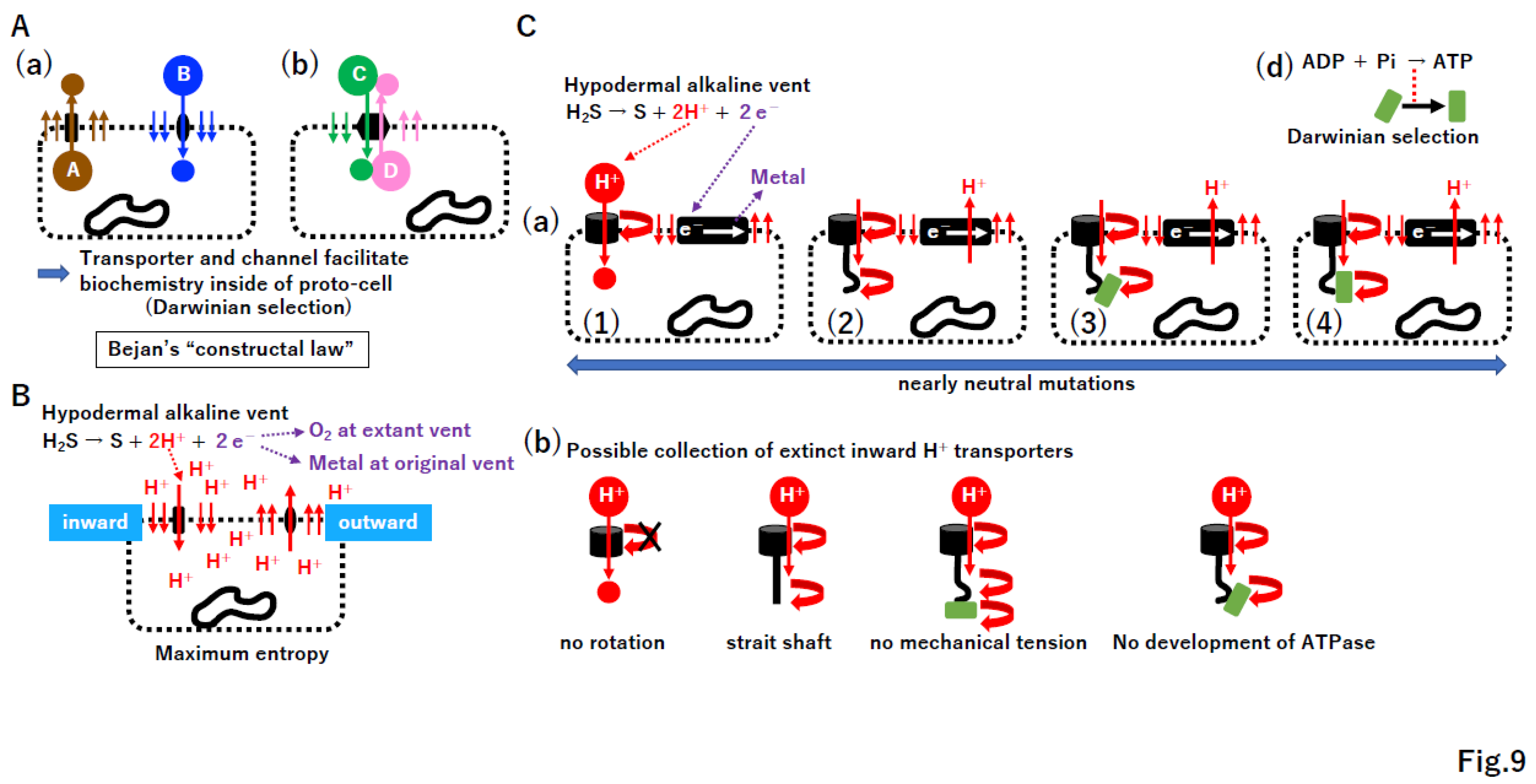 Preprints 96029 g009