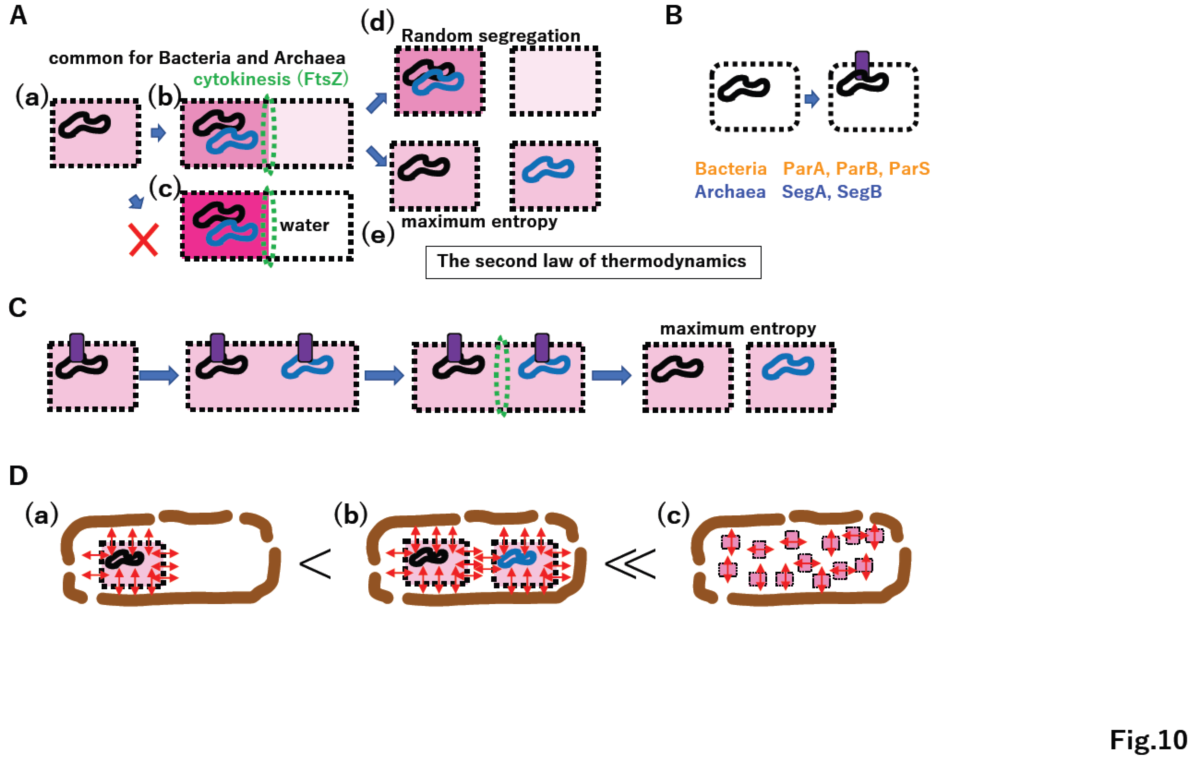 Preprints 96029 g010