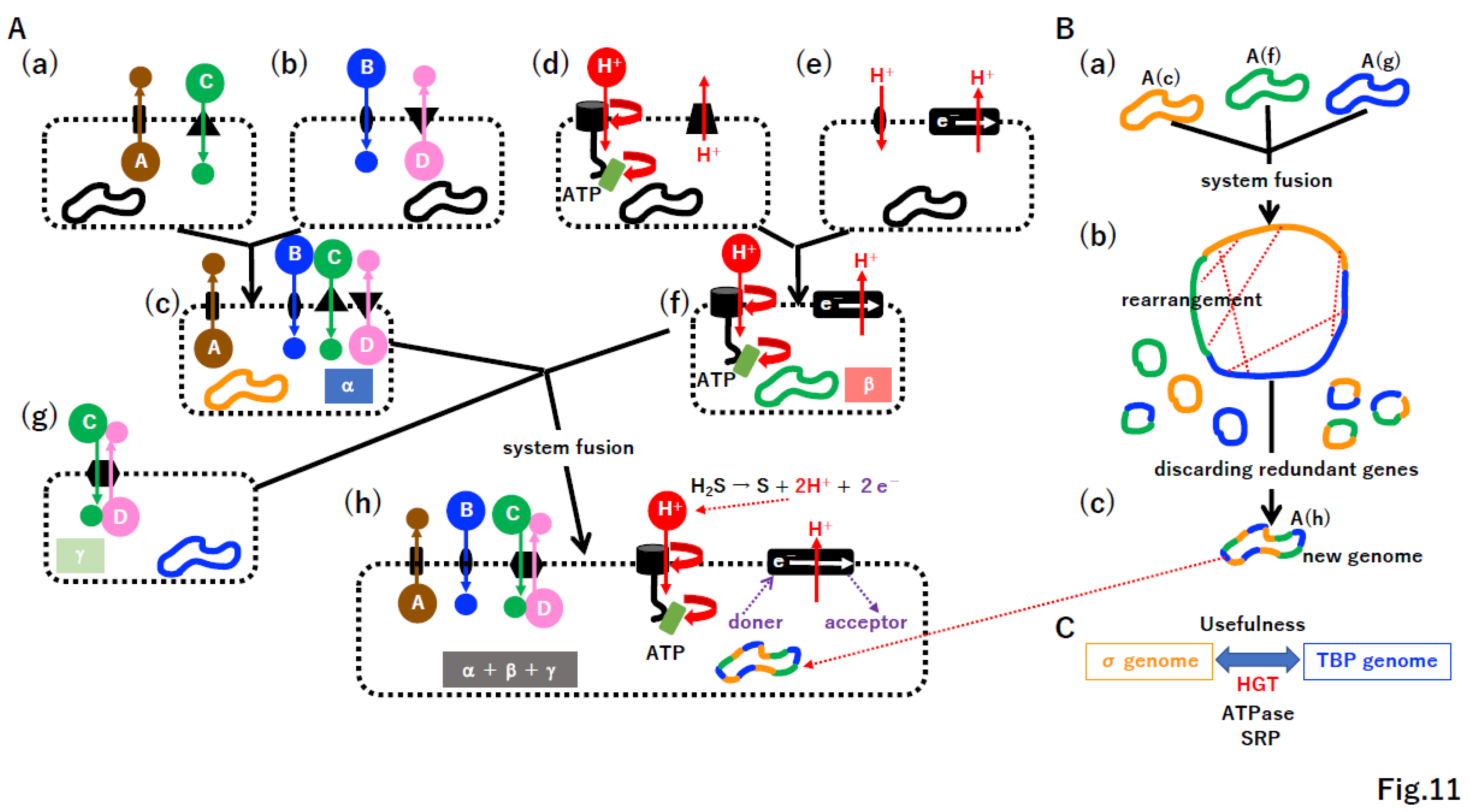 Preprints 96029 g011