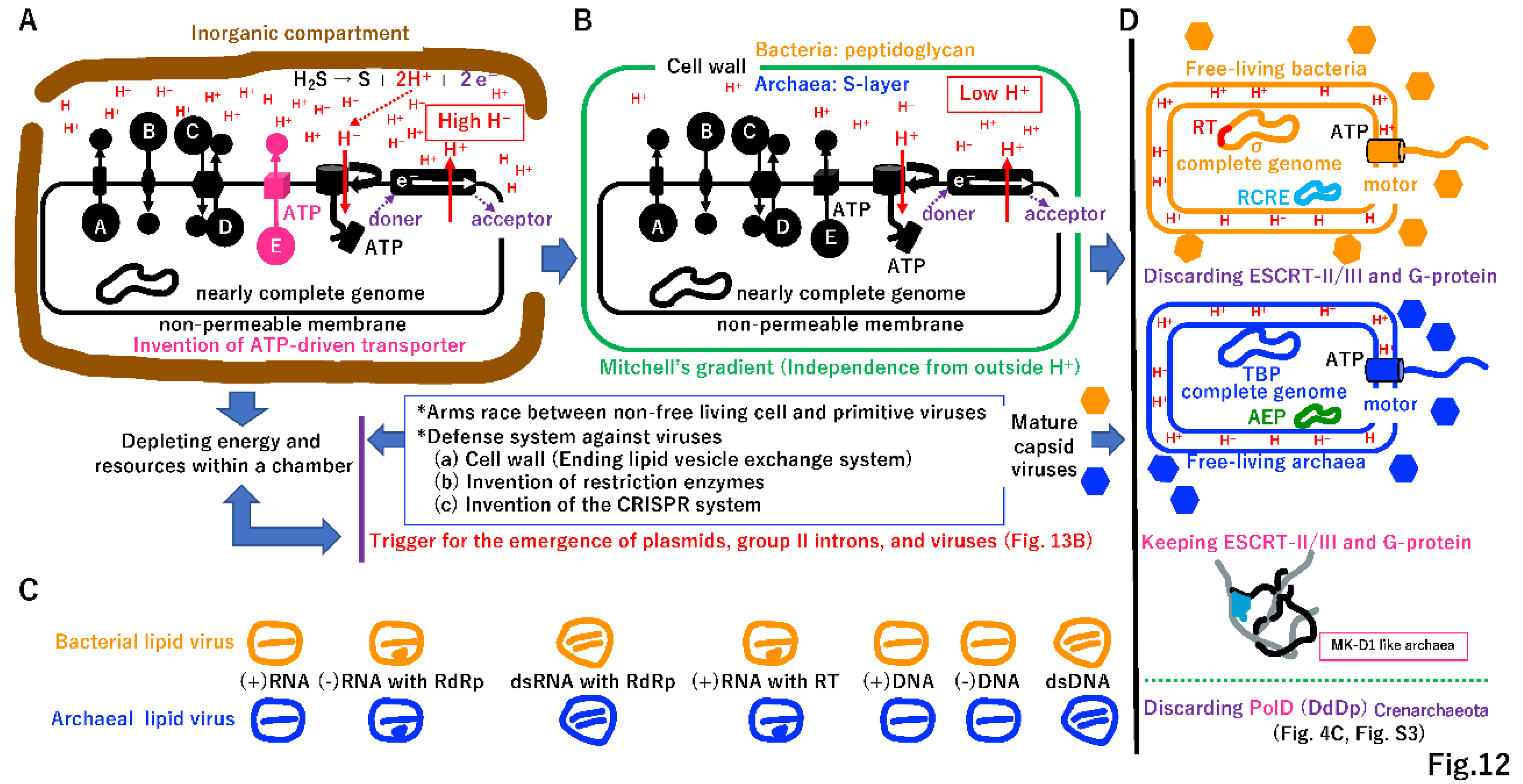 Preprints 96029 g012