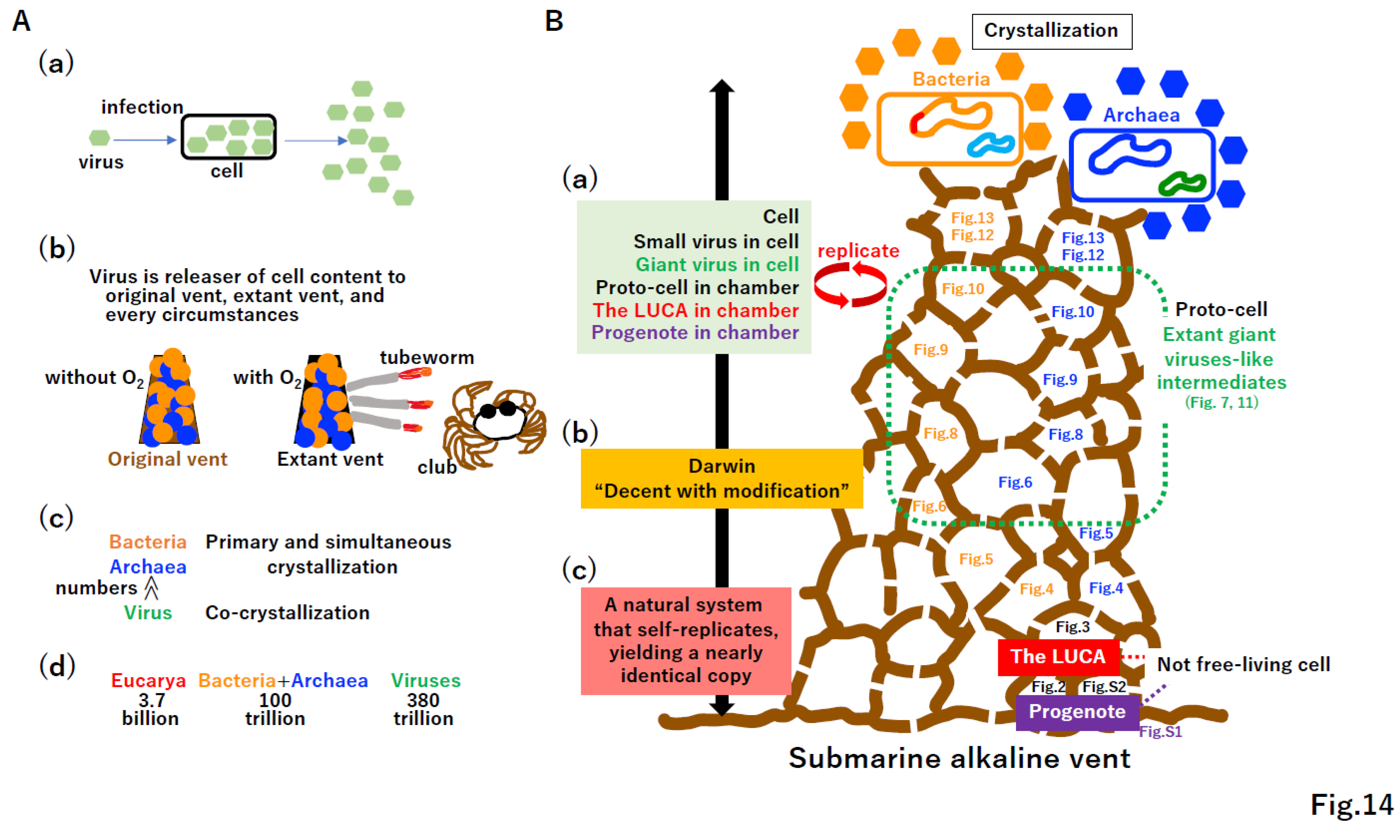 Preprints 96029 g014