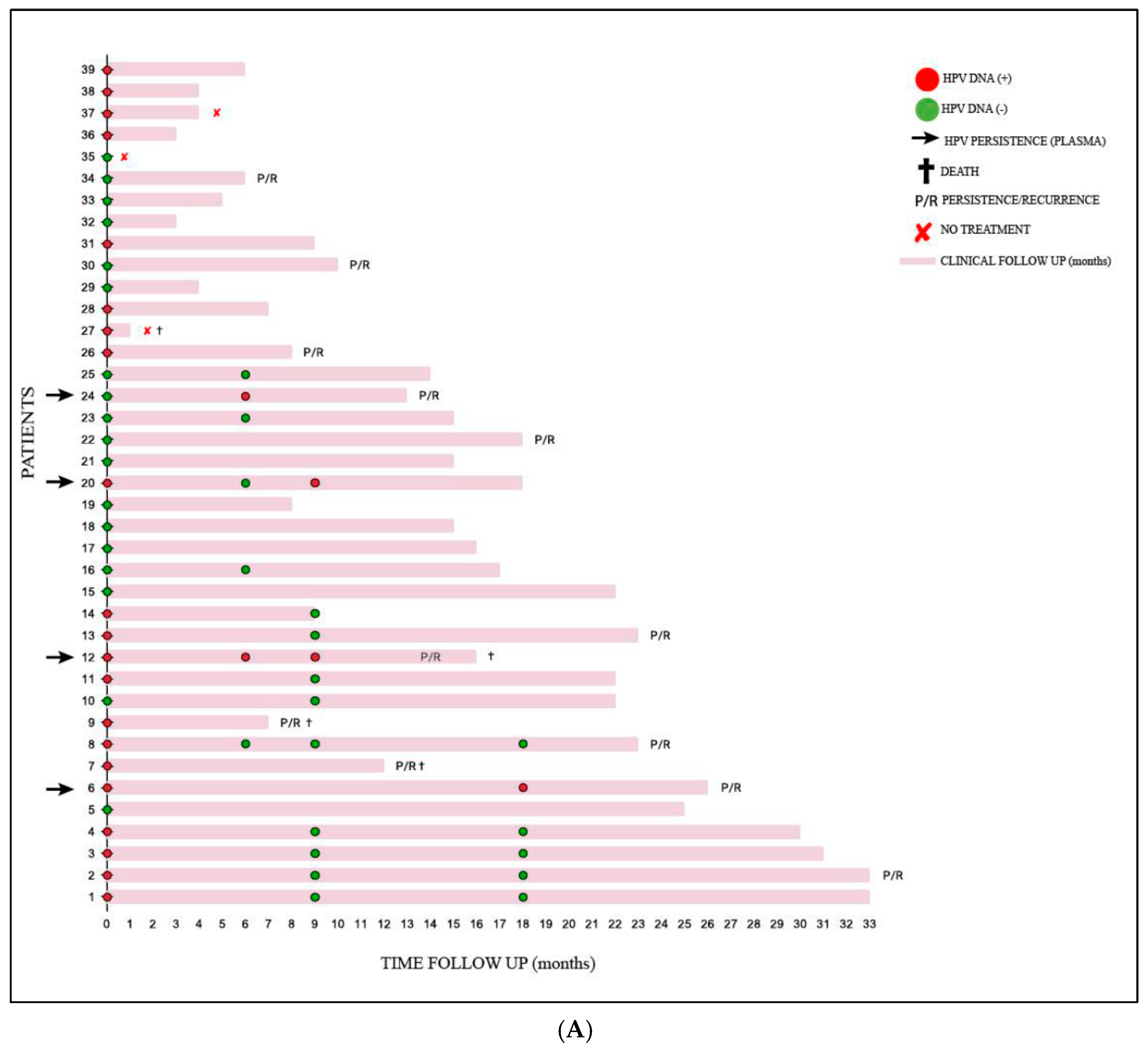 Preprints 141790 g001a