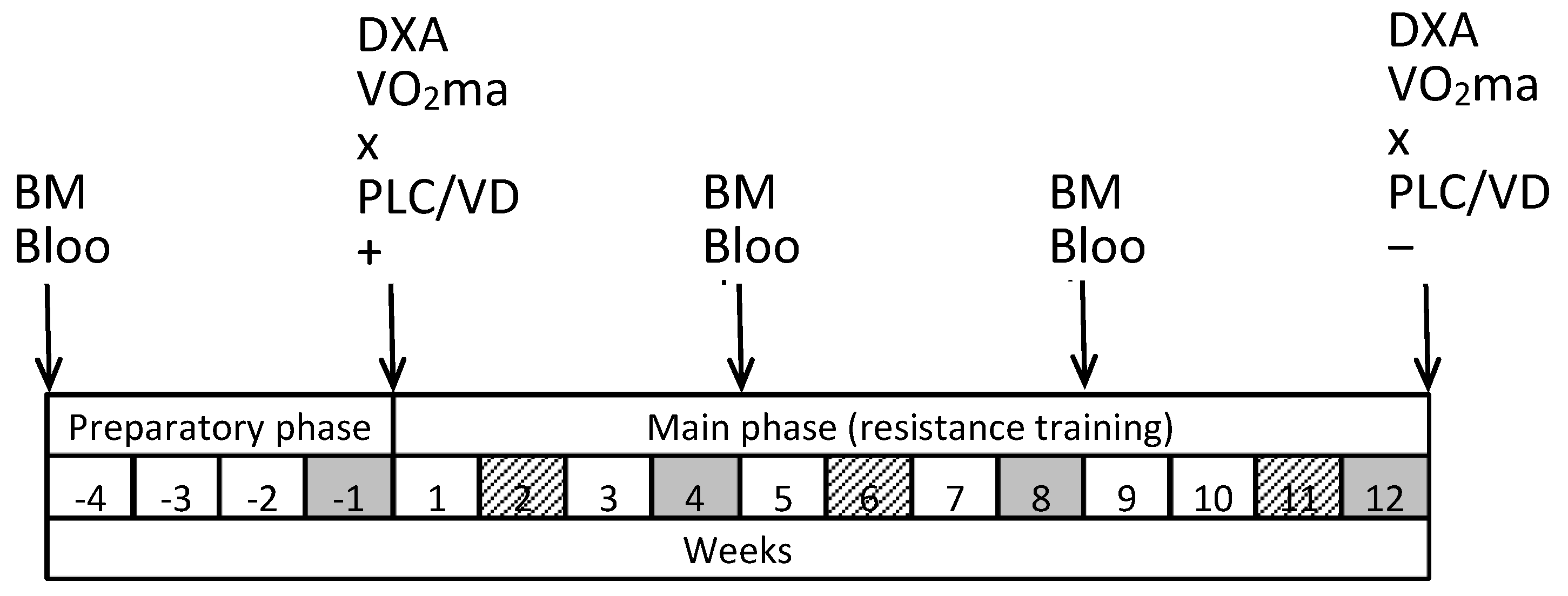 Preprints 116105 g001