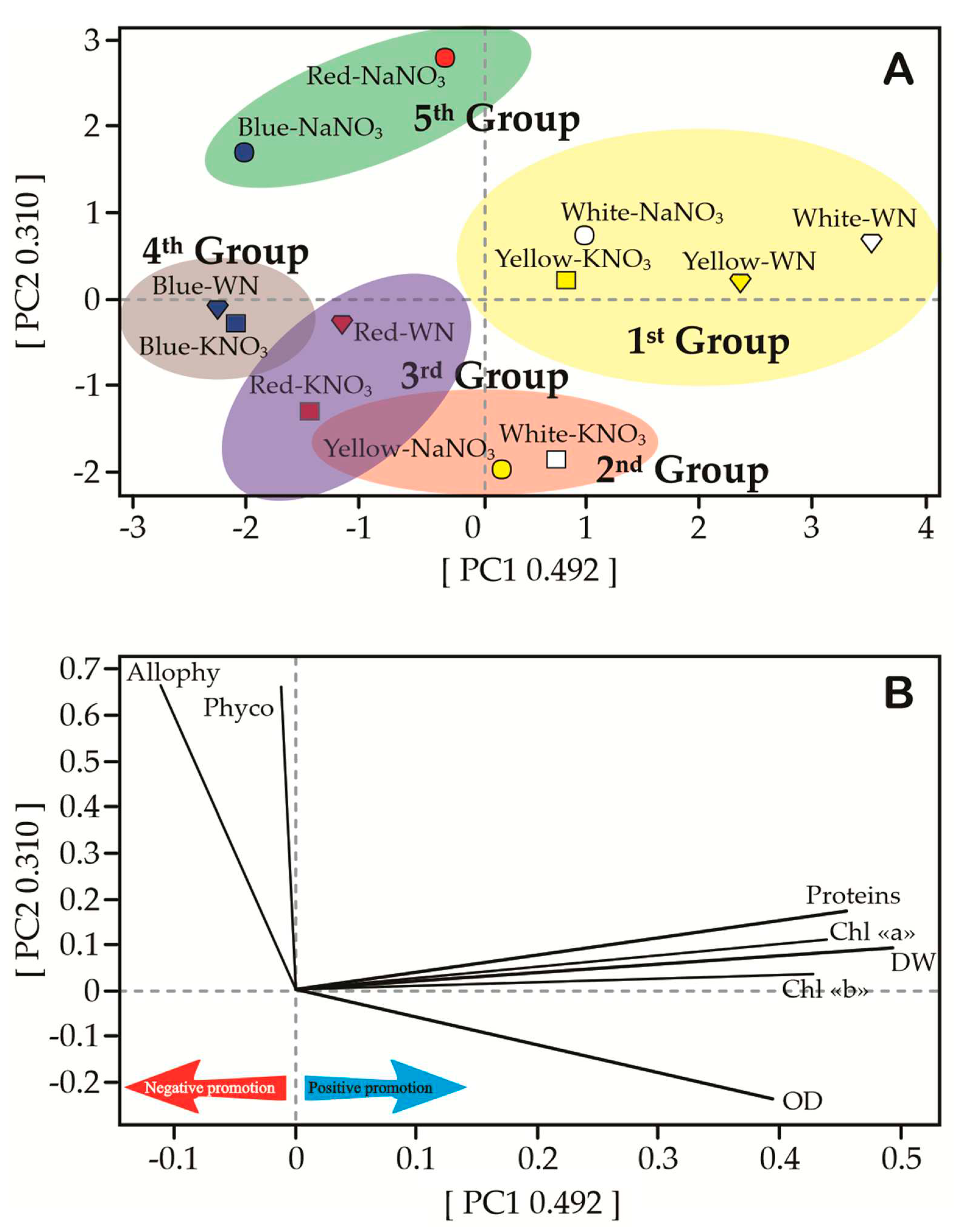 Preprints 86144 g010