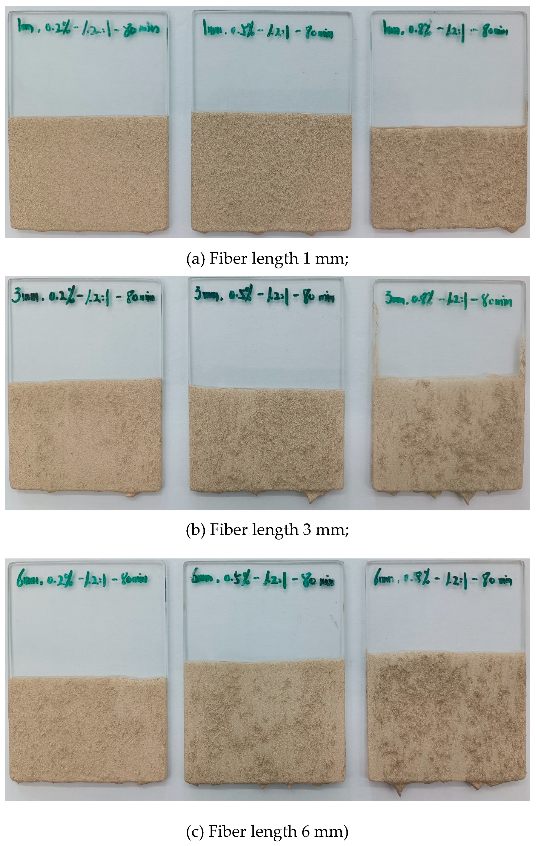 Preprints 112957 g008