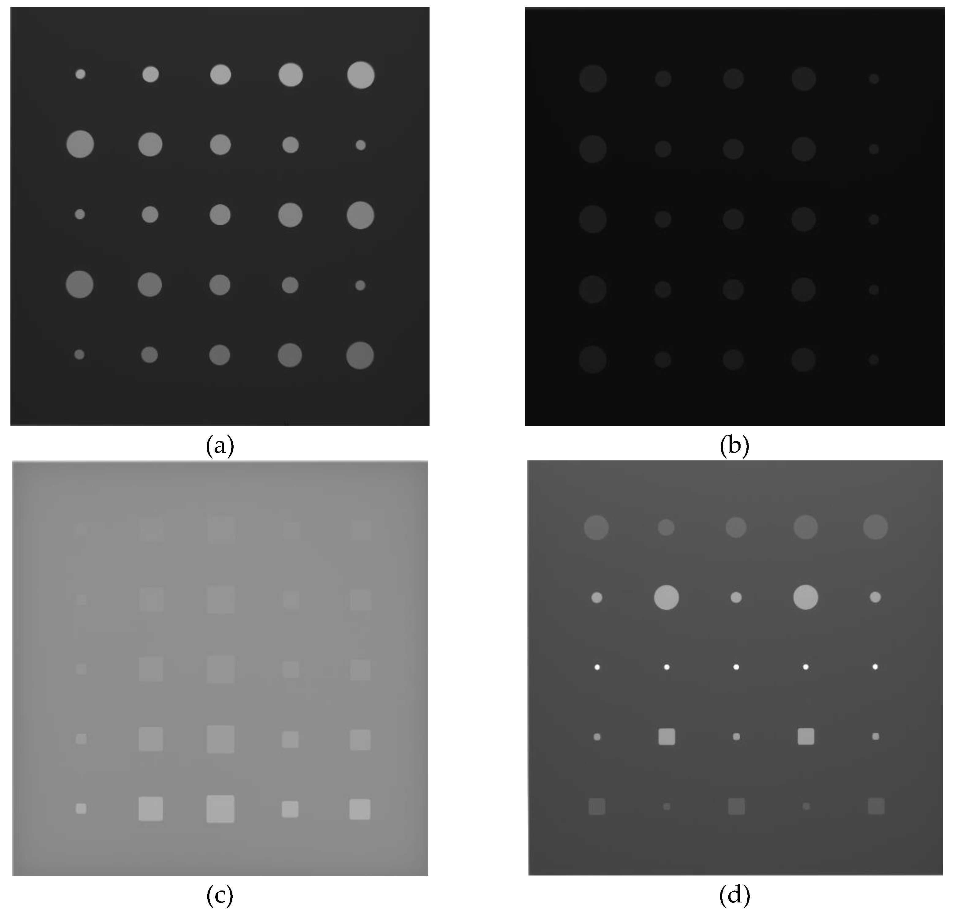 Preprints 70416 g003