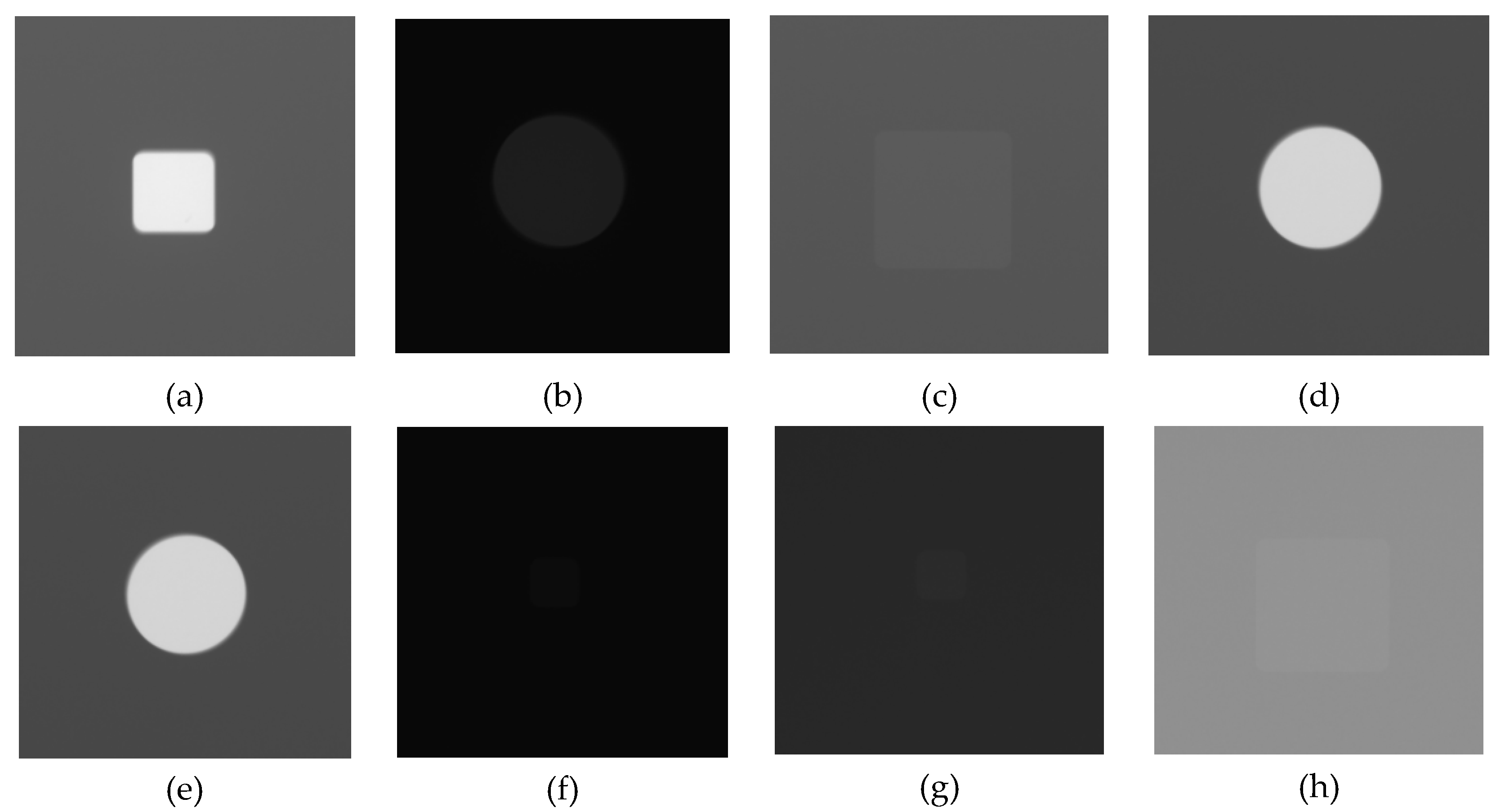 Preprints 70416 g004