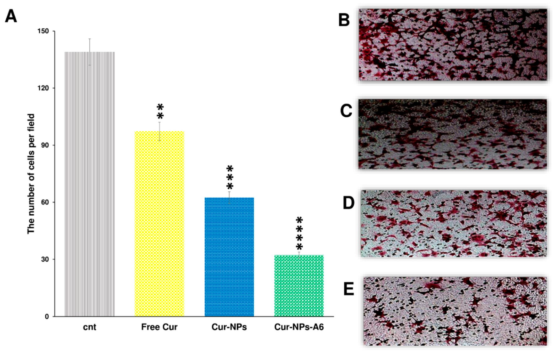 Preprints 117851 g009