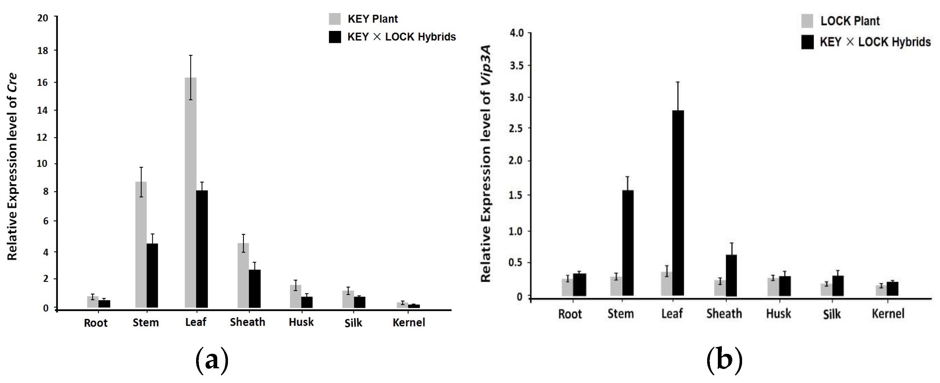 Preprints 83305 g002