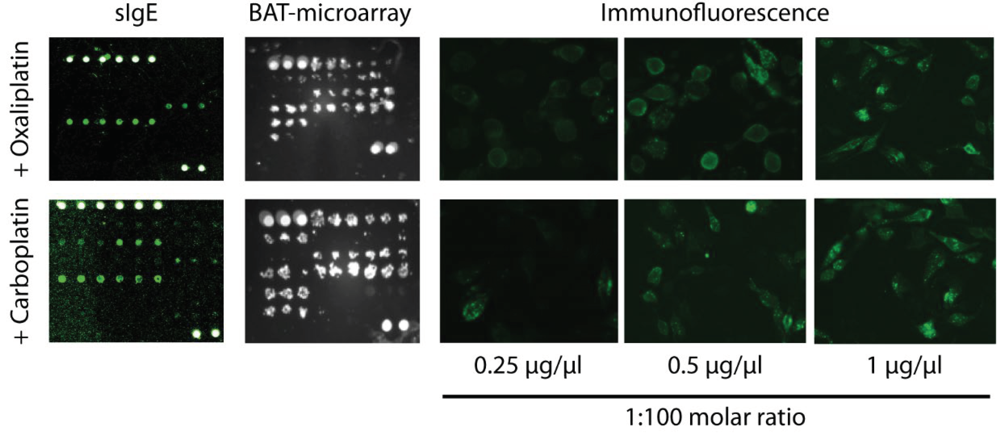 Preprints 102312 g003