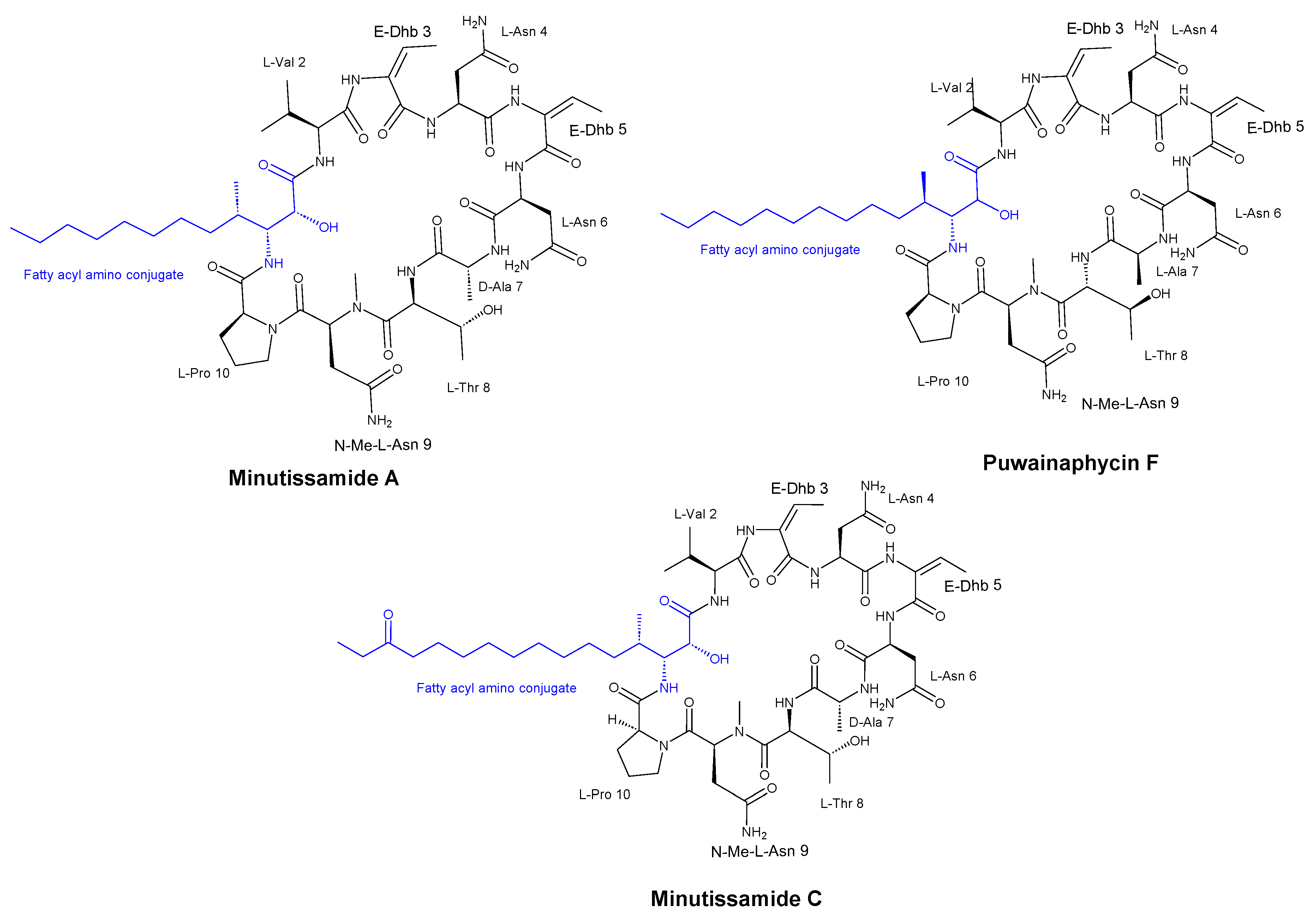 Preprints 76453 g004