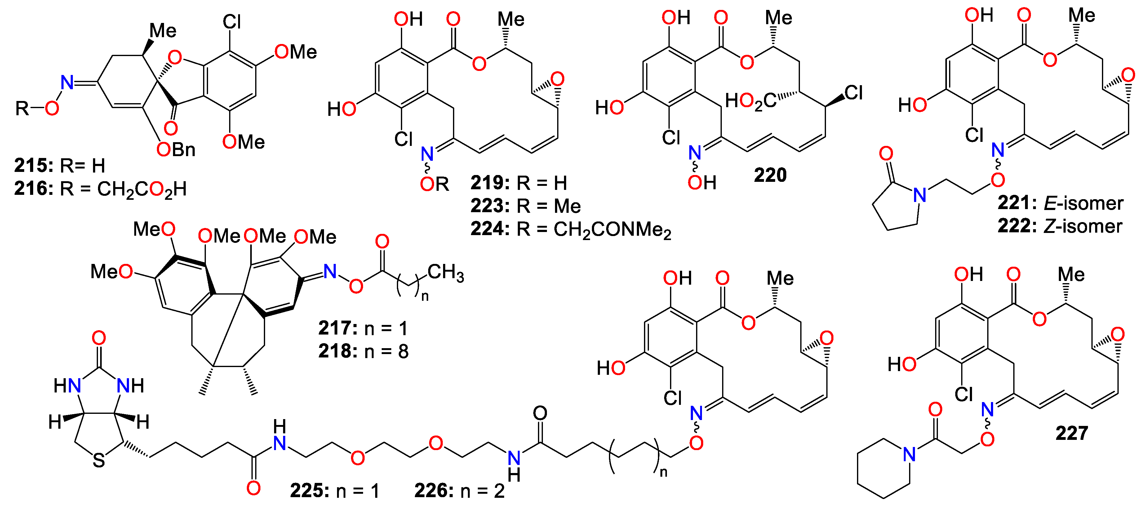 Preprints 90279 g013