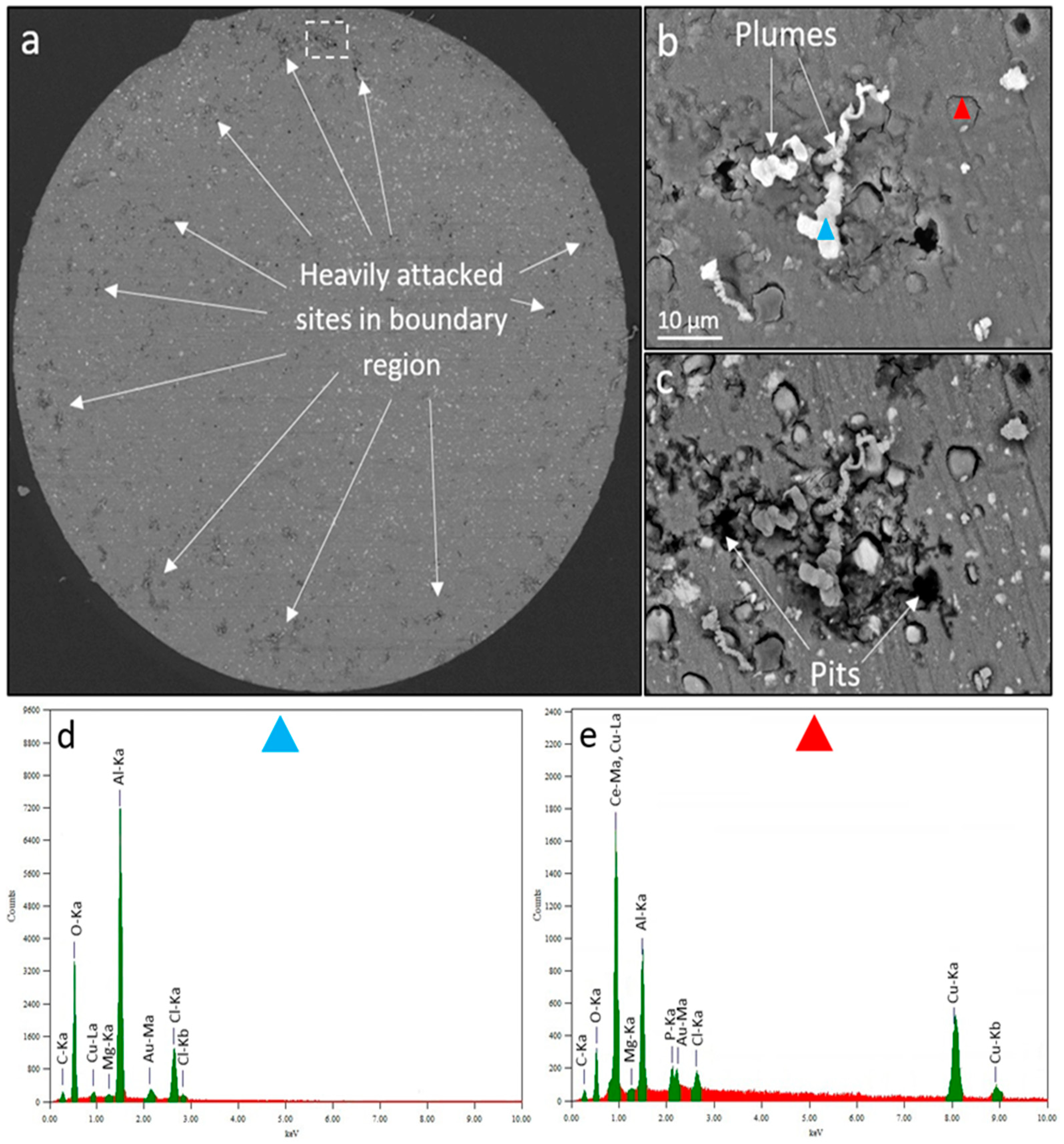 Preprints 83415 g010